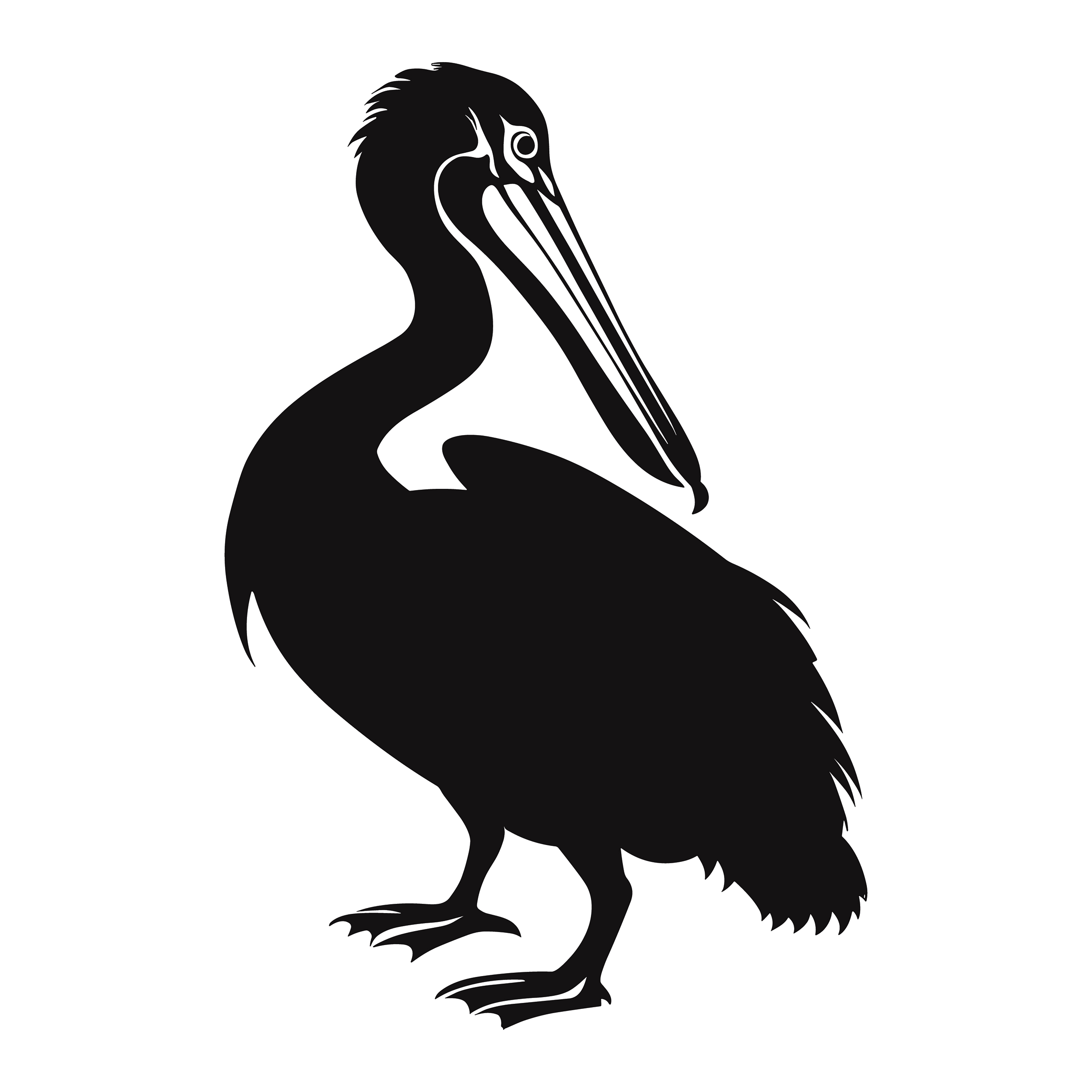Pelican bird silhouette vector #19