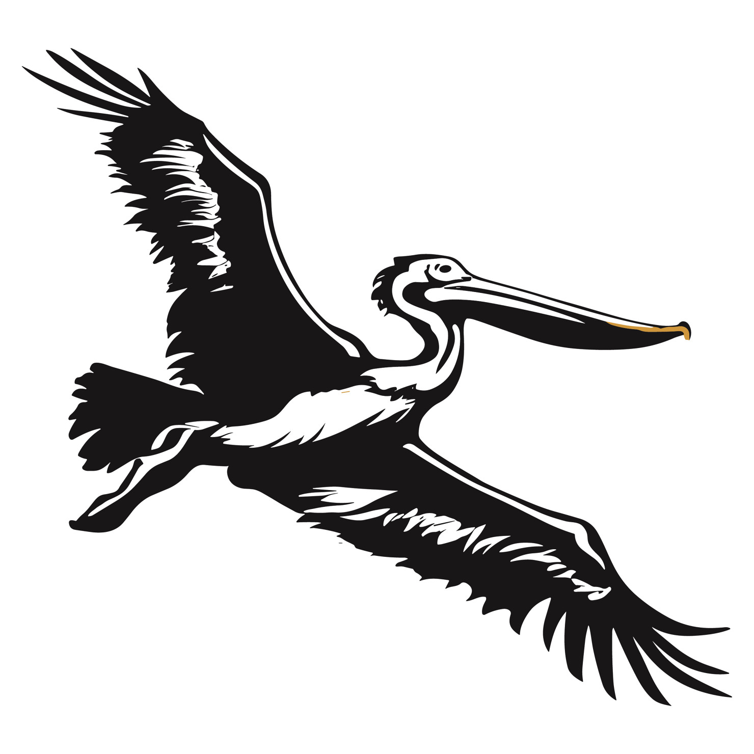 Pelican bird flying silhouette vector #4
