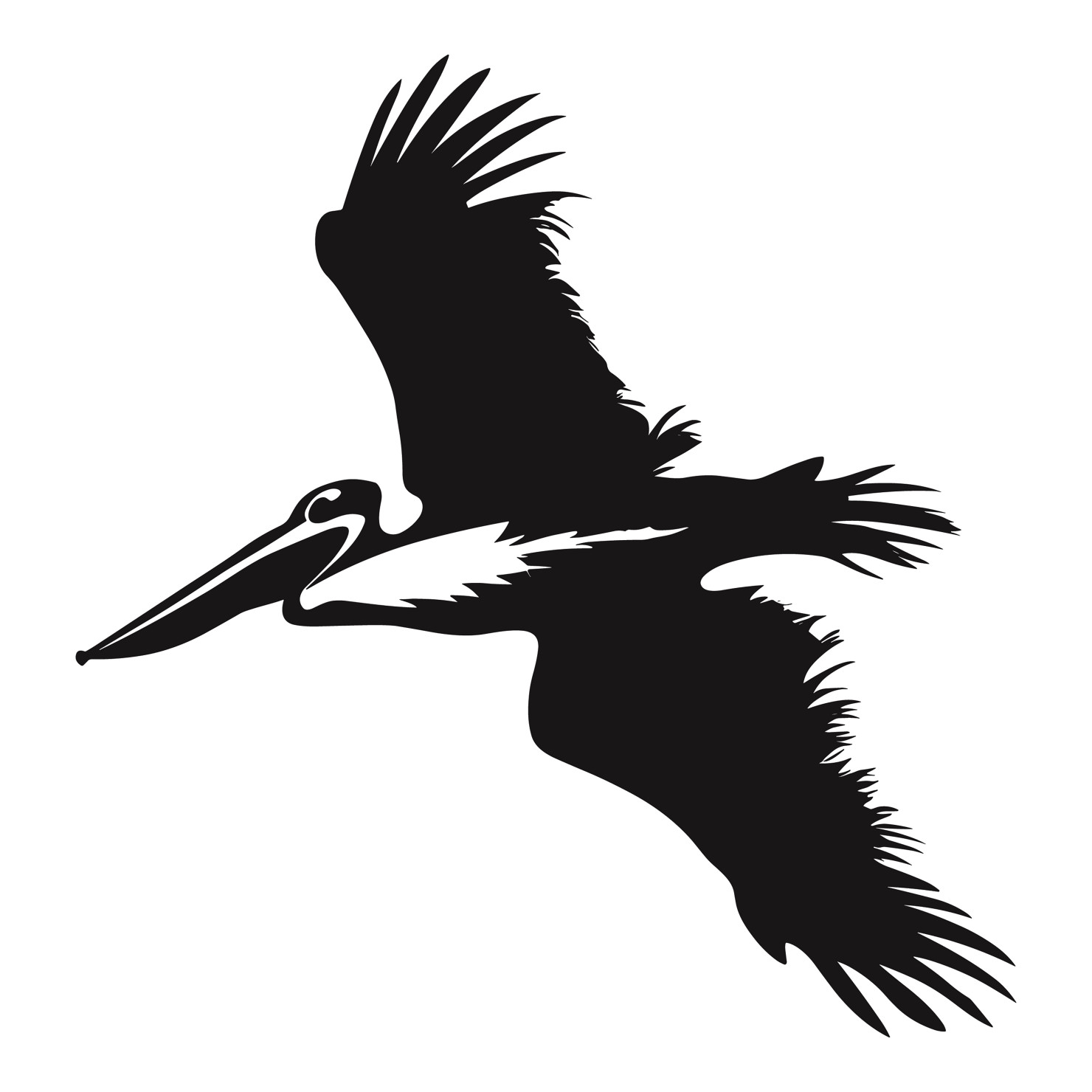 Pelican bird flying silhouette vector #7