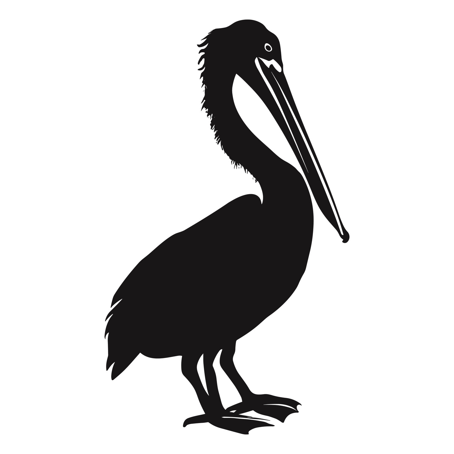 Pelican bird silhouette vector #13
