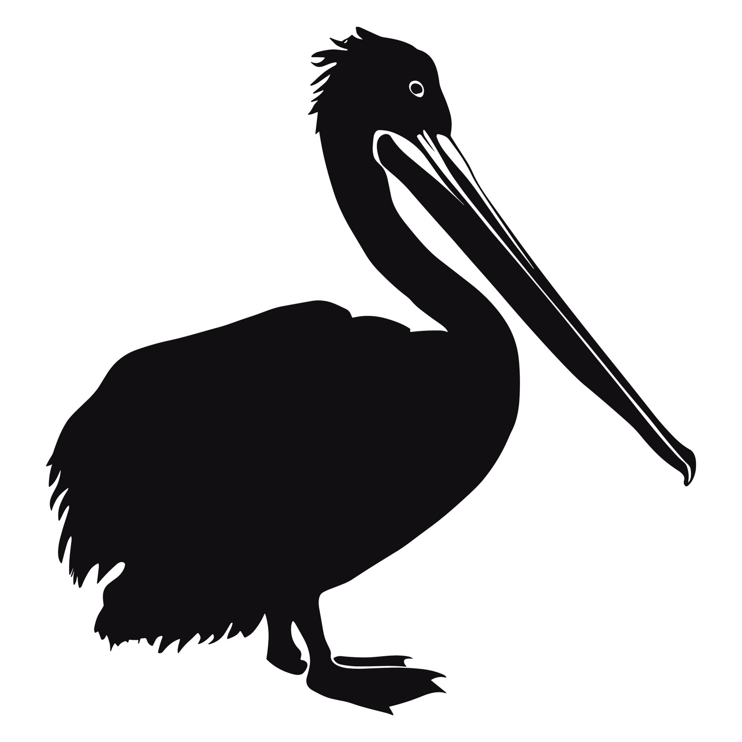 Pelican bird silhouette vector #16