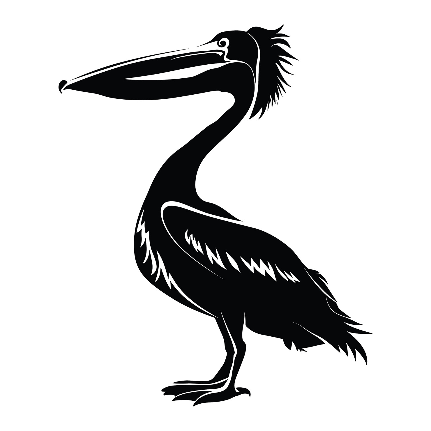 Pelican bird silhouette vector #17