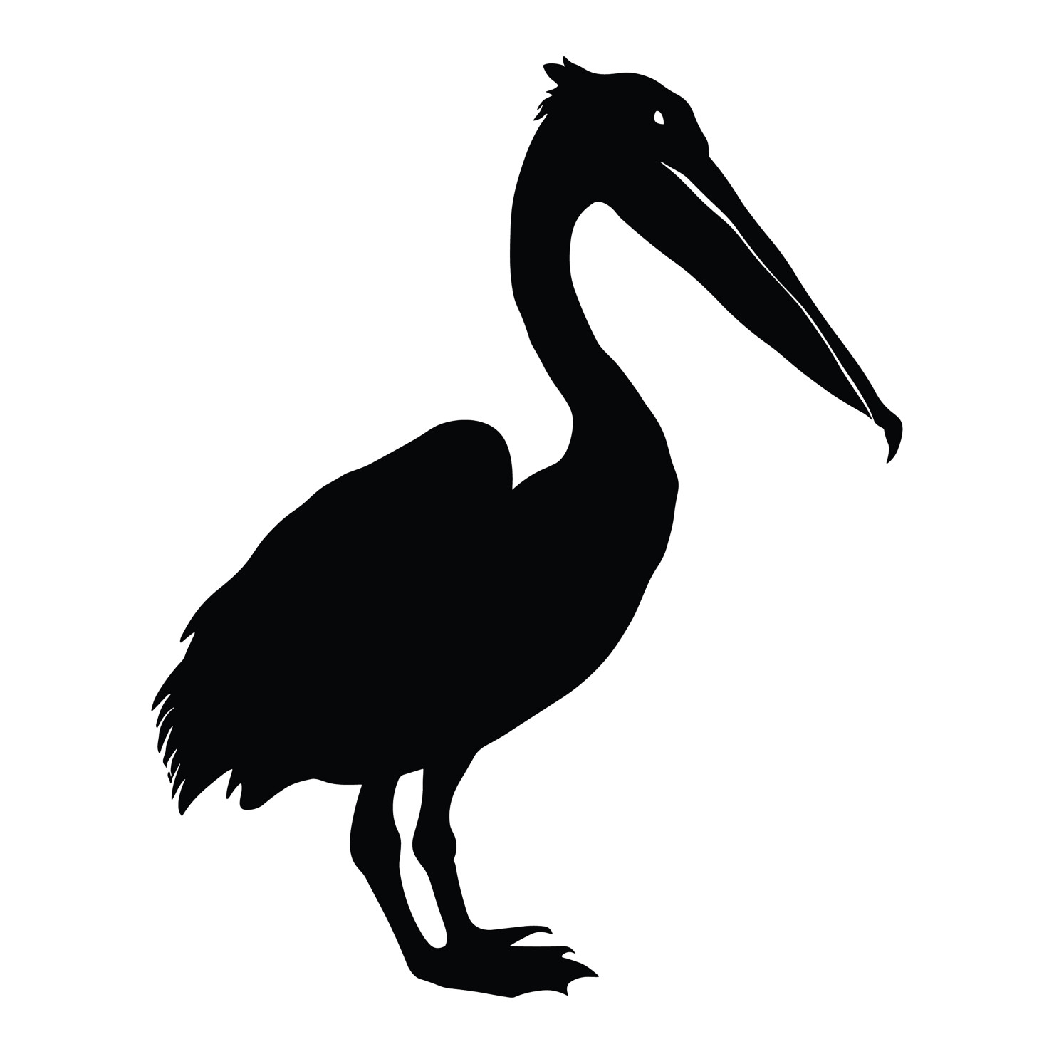 Pelican bird silhouette vector #18
