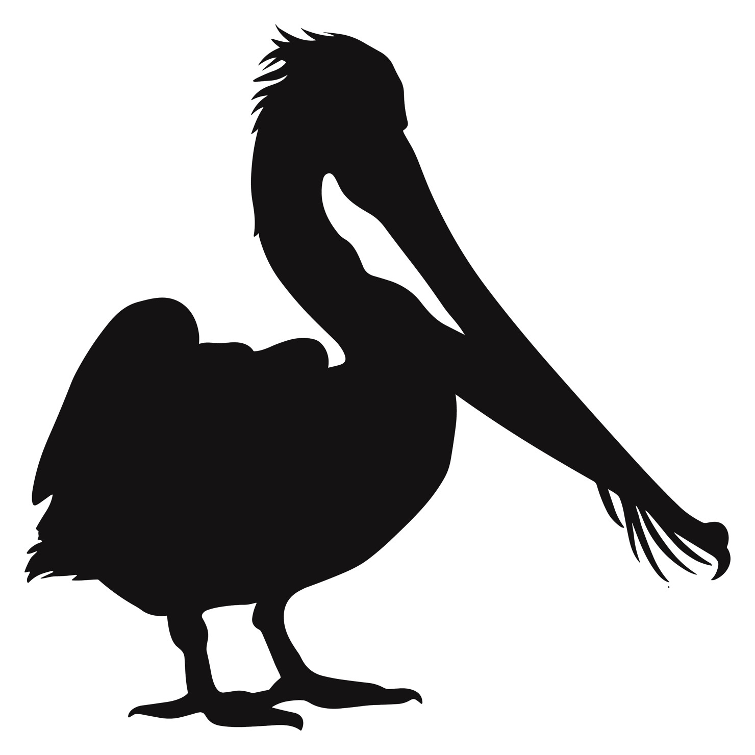 Pelican bird silhouette vector #20