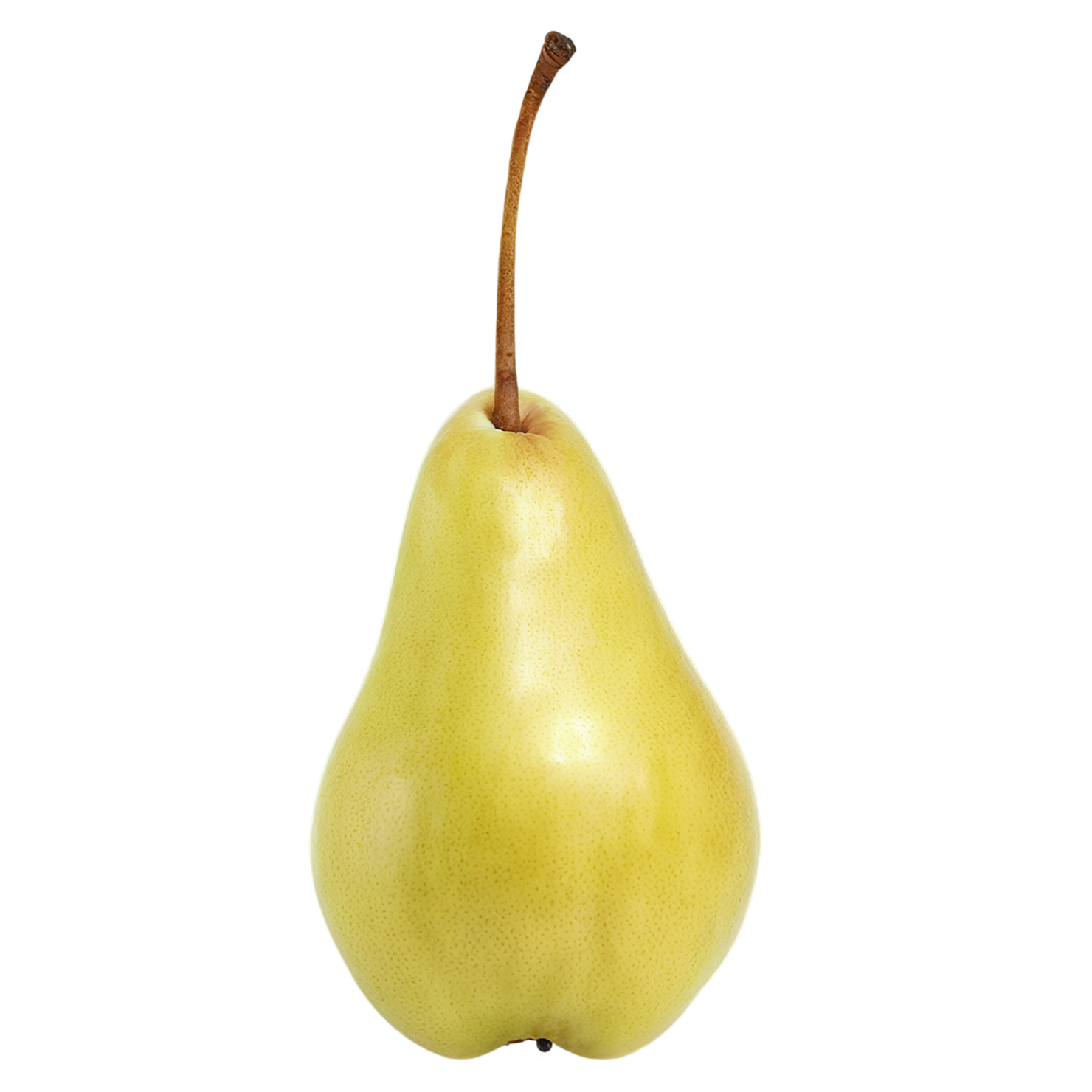 Pear fruit isolated on transparent background #32