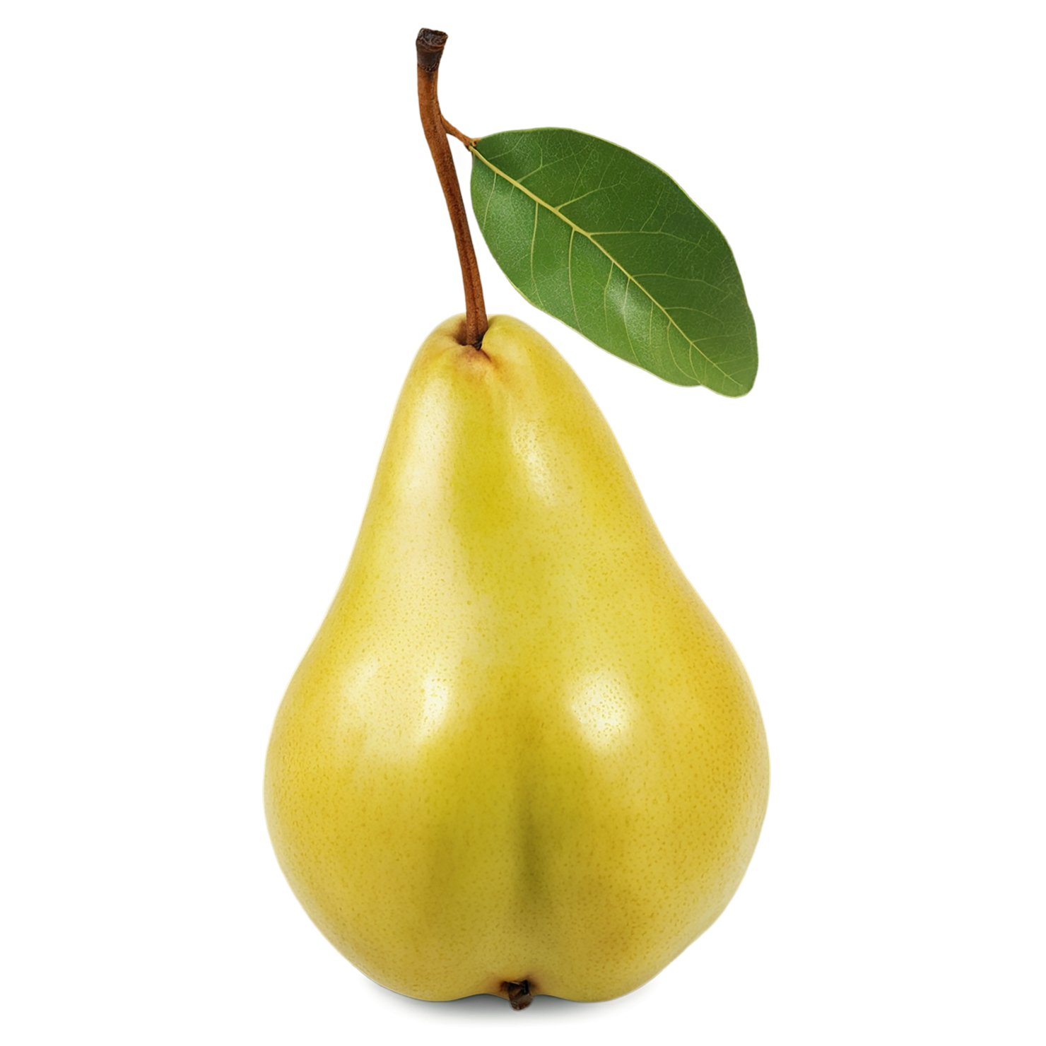 Pear fruit isolated on transparent background #40