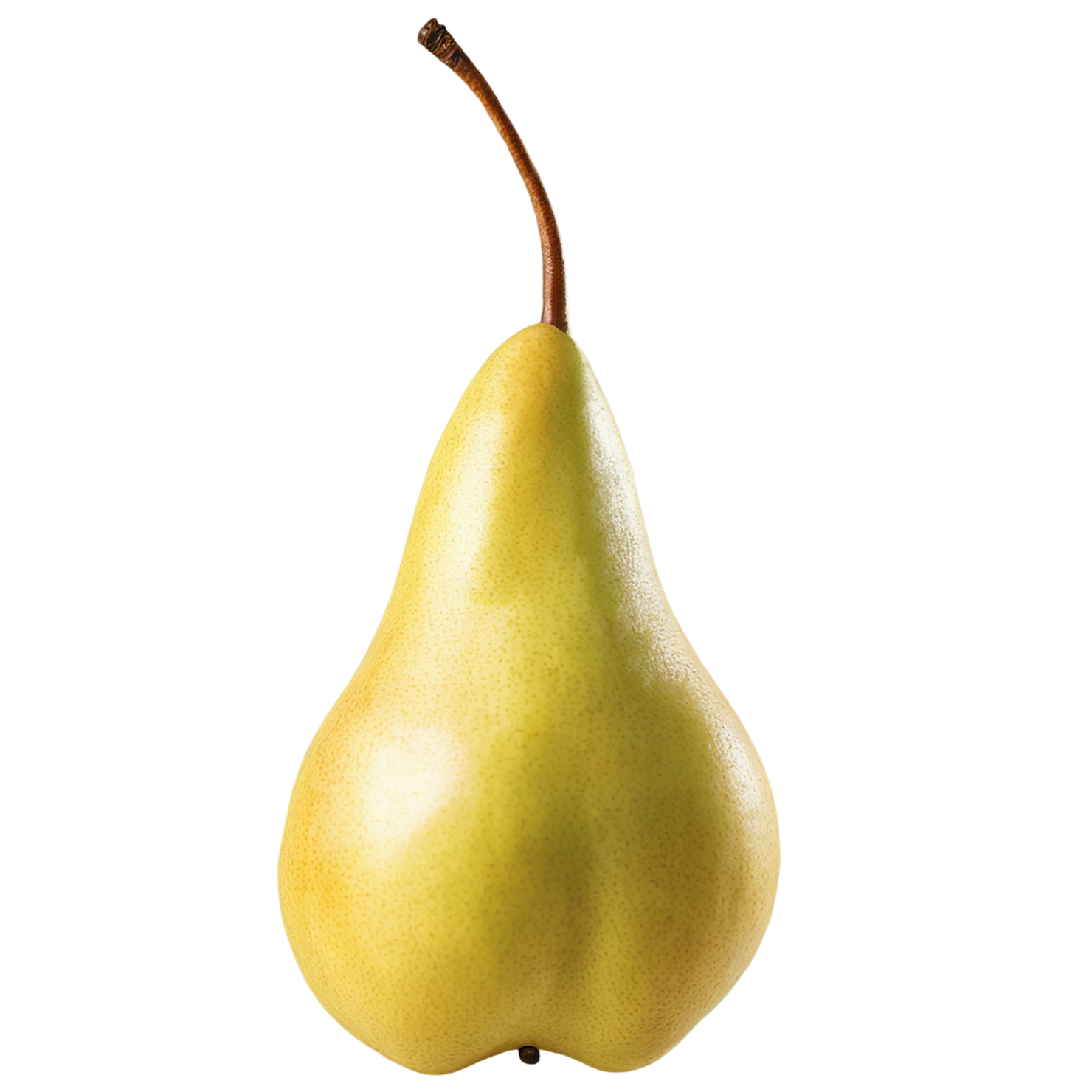 Pear fruit isolated on transparent background #41