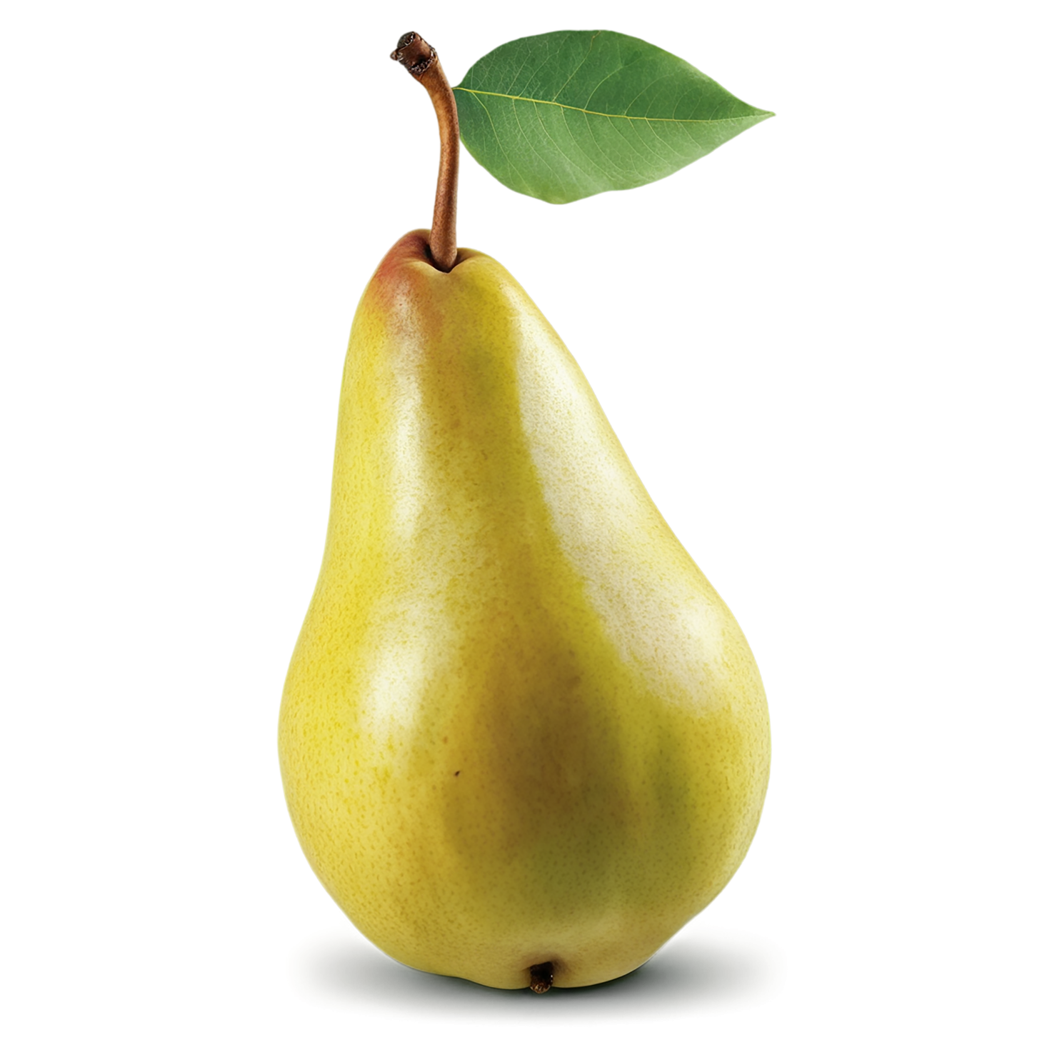 Pear fruit isolated on transparent background #46