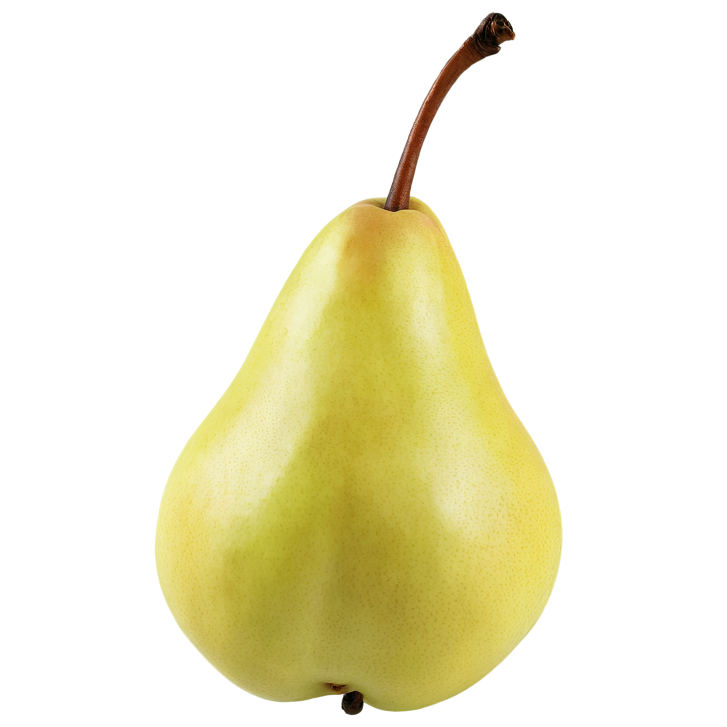 Pear fruit isolated on transparent background #50