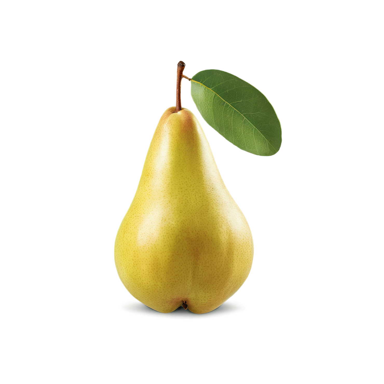 Pear fruit isolated on transparent background #51