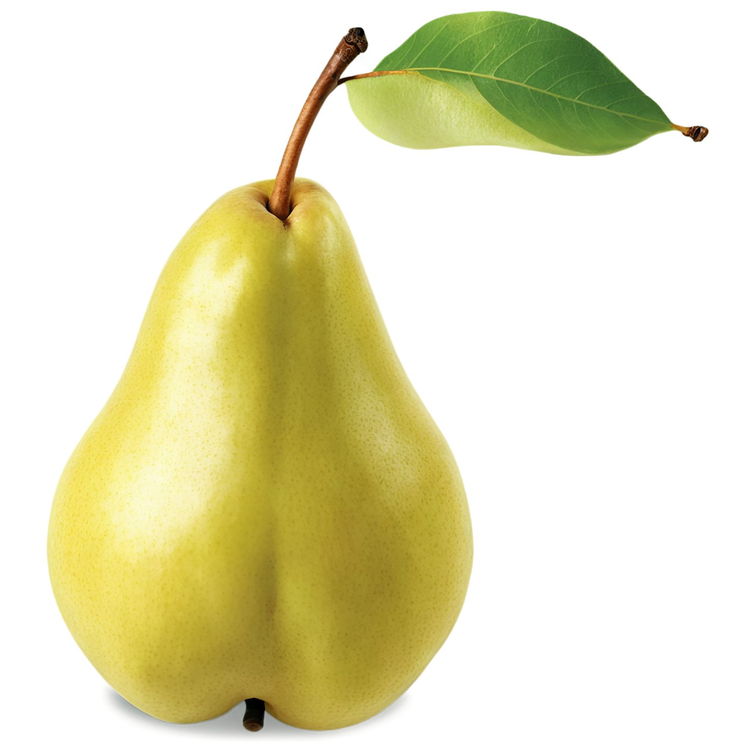 Pear fruit isolated on transparent background #58