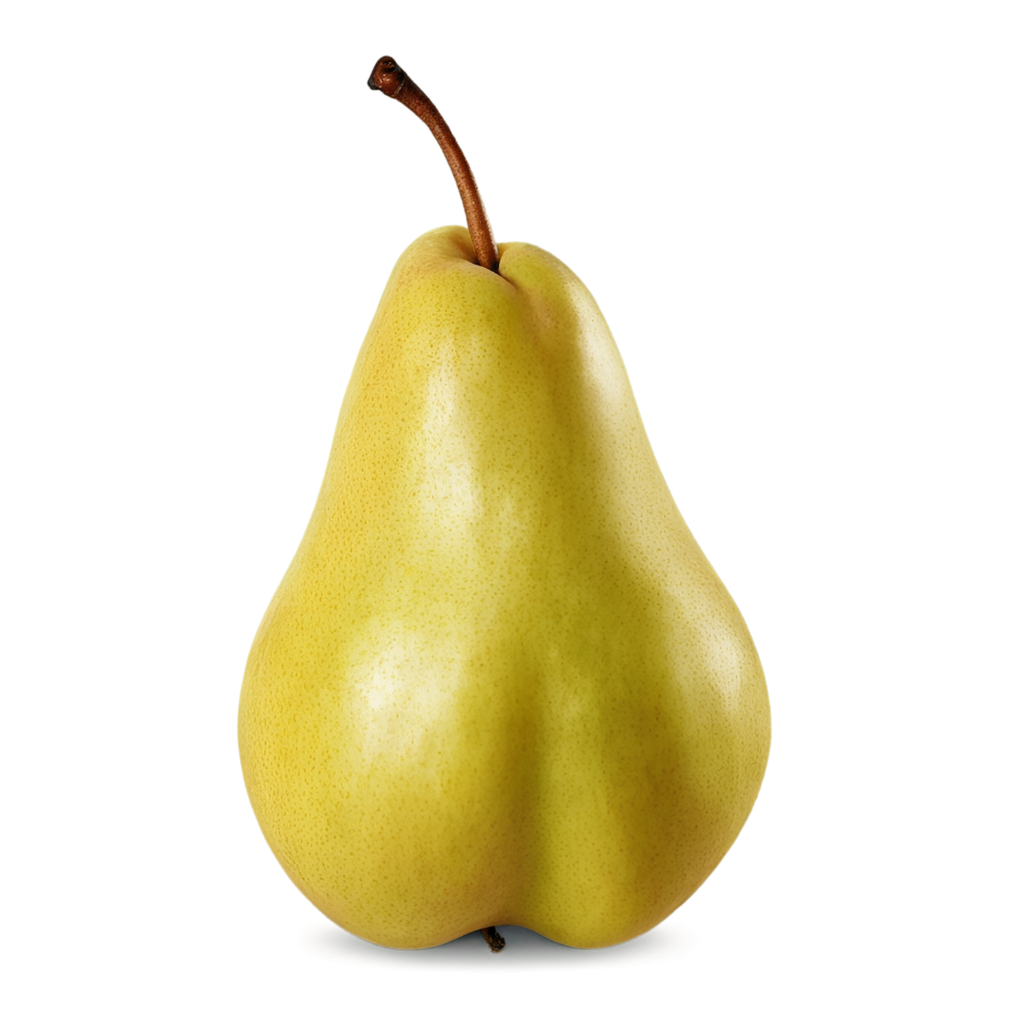 Pear fruit isolated on transparent background #59