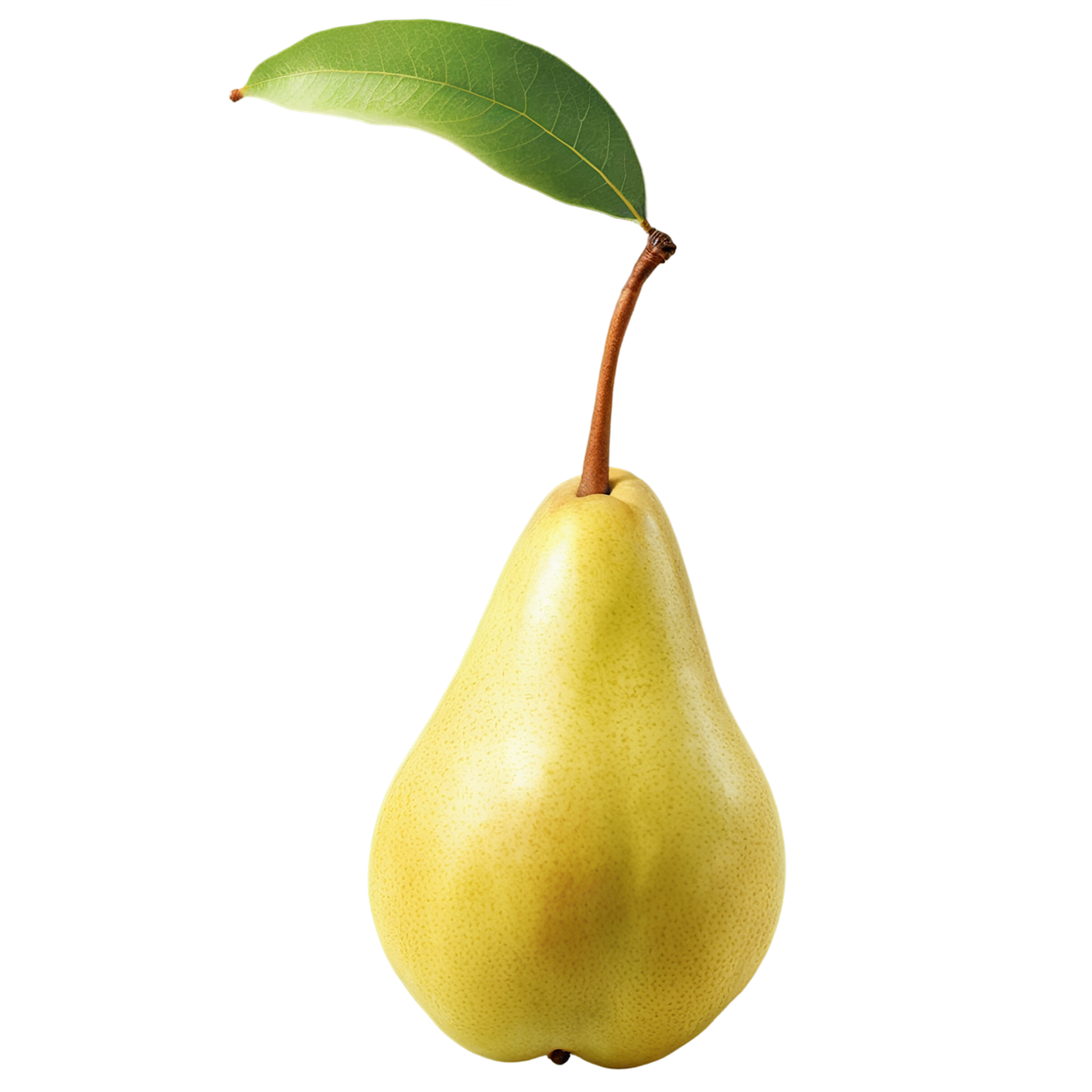 Pear fruit isolated on transparent background #60