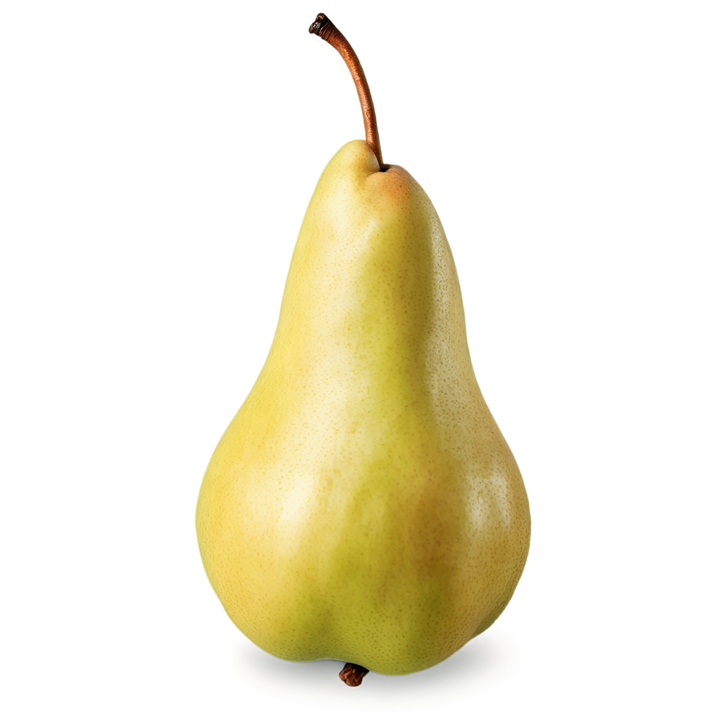 Pear fruit isolated on transparent background #62