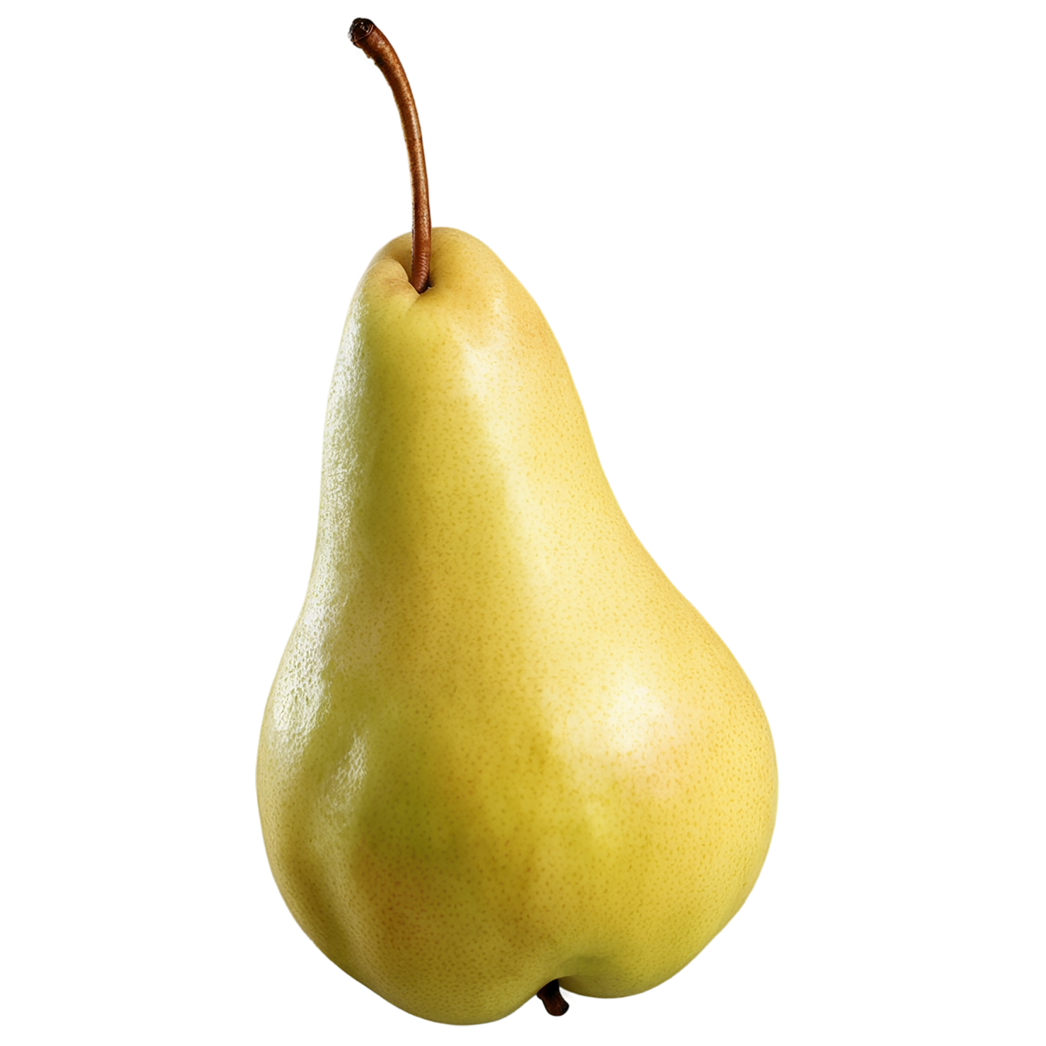 Pear fruit isolated on transparent background #64