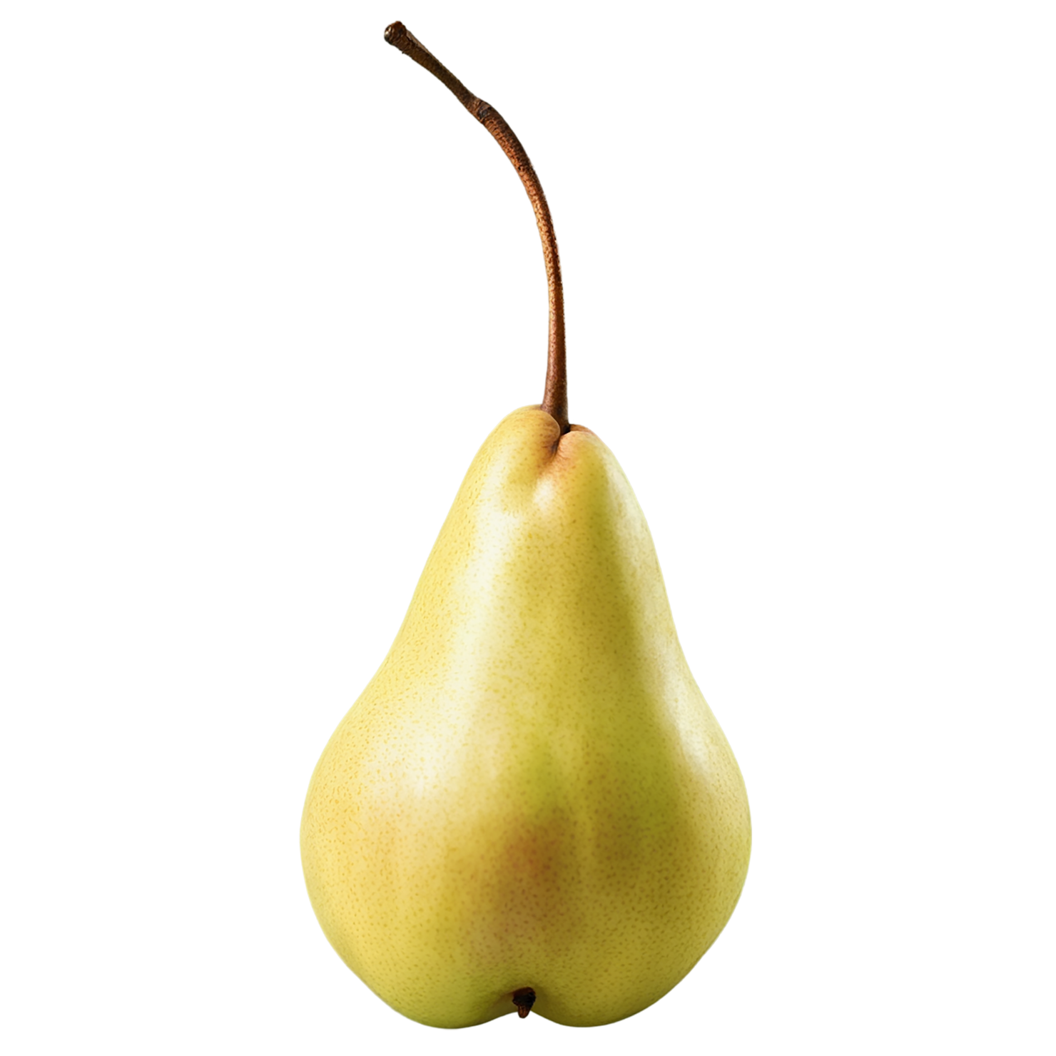 Pear fruit isolated on transparent background #65
