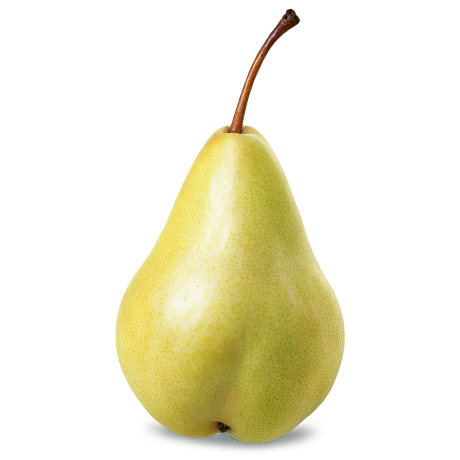 Pear fruit isolated on transparent background #78
