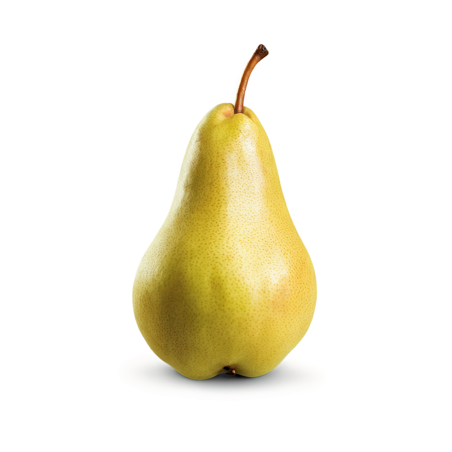 Pear fruit isolated on transparent background #79