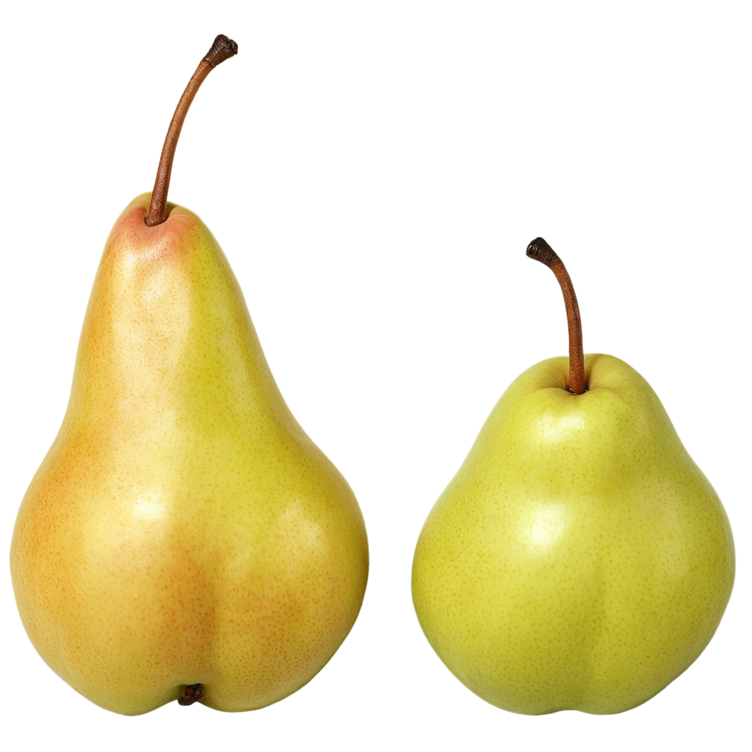 Pear fruit isolated on transparent background #80