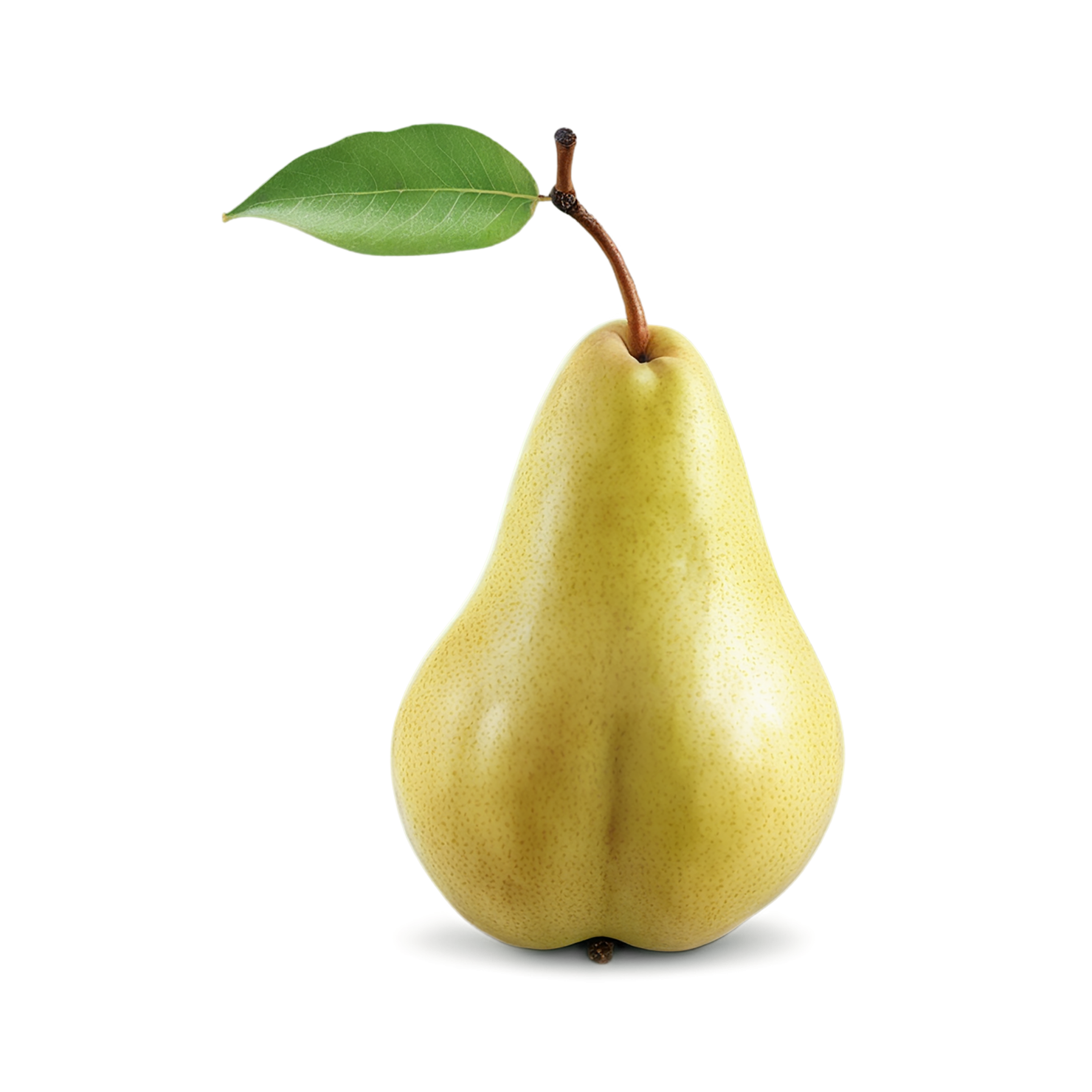 Pear fruit isolated on transparent background #81