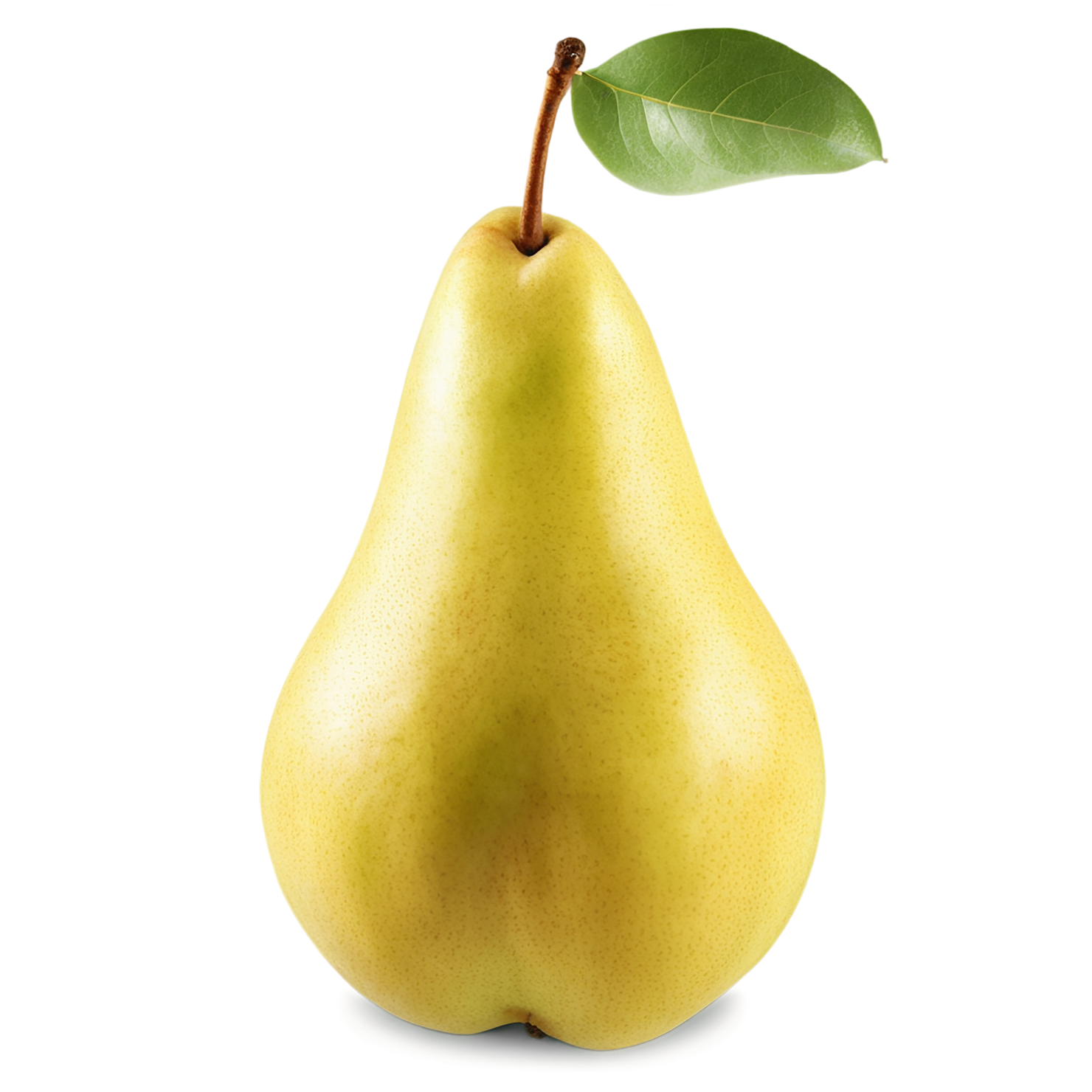 Pear fruit isolated on transparent background #90