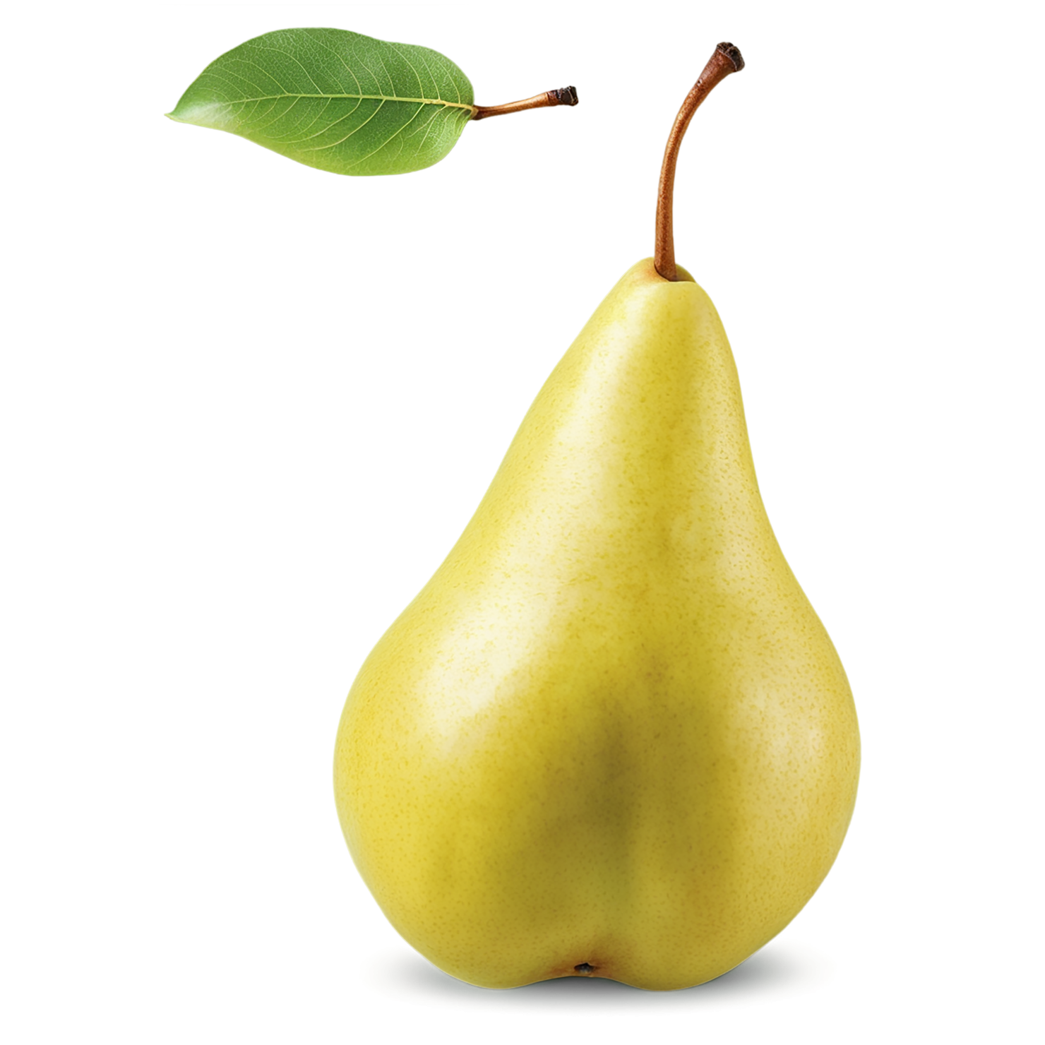 Pear fruit isolated on transparent background #98