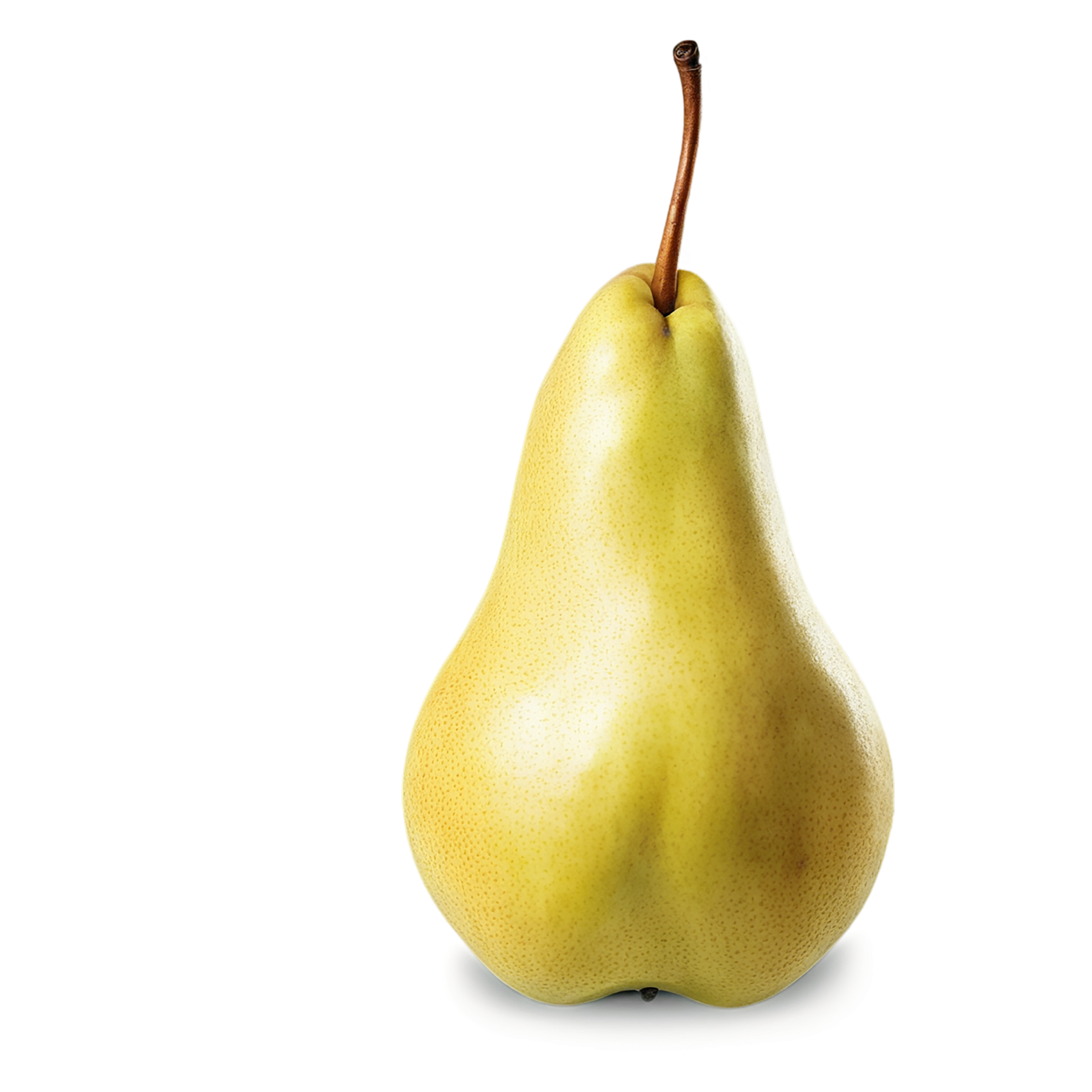 Pear fruit isolated on transparent background #100