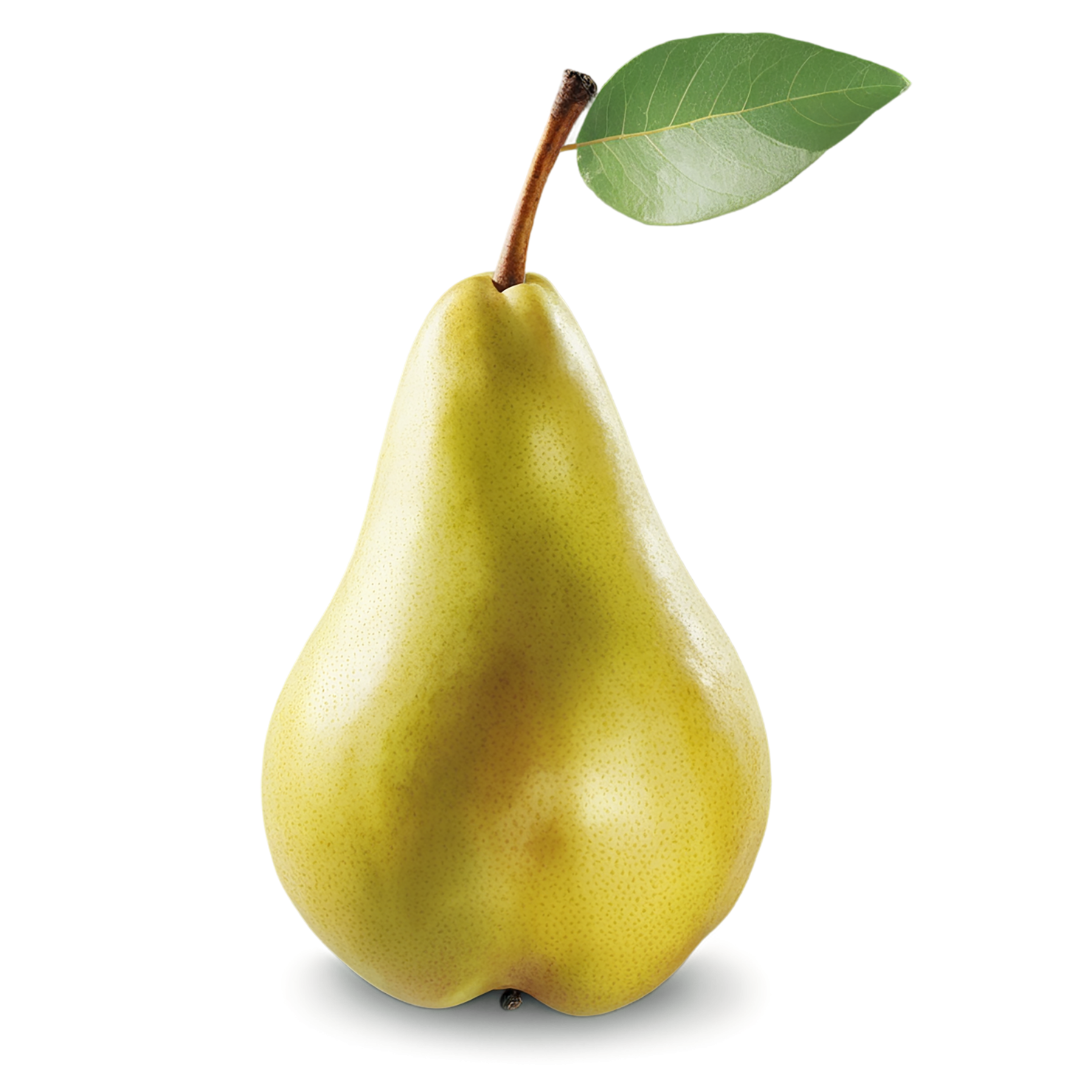 Pear fruit isolated on transparent background #107