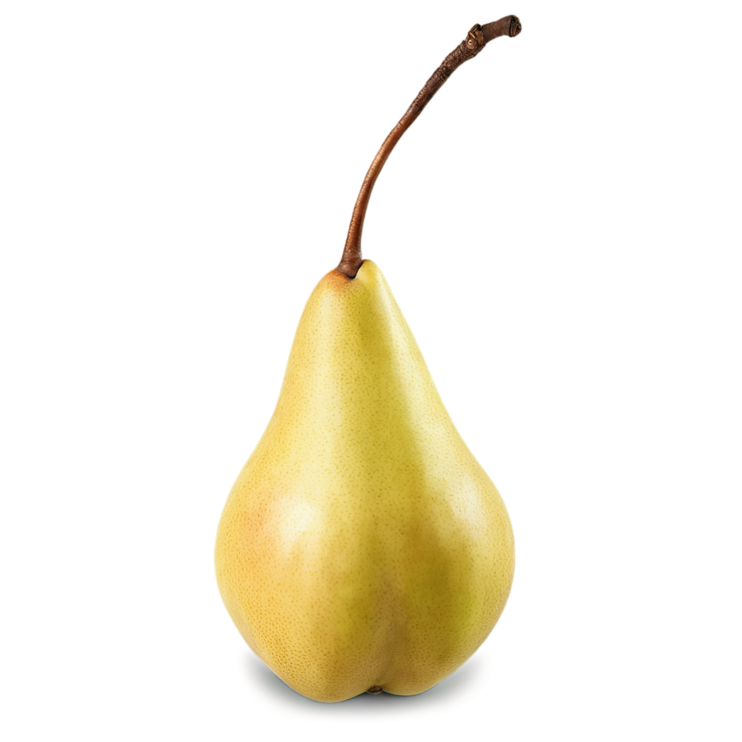 Pear fruit isolated on transparent background #111