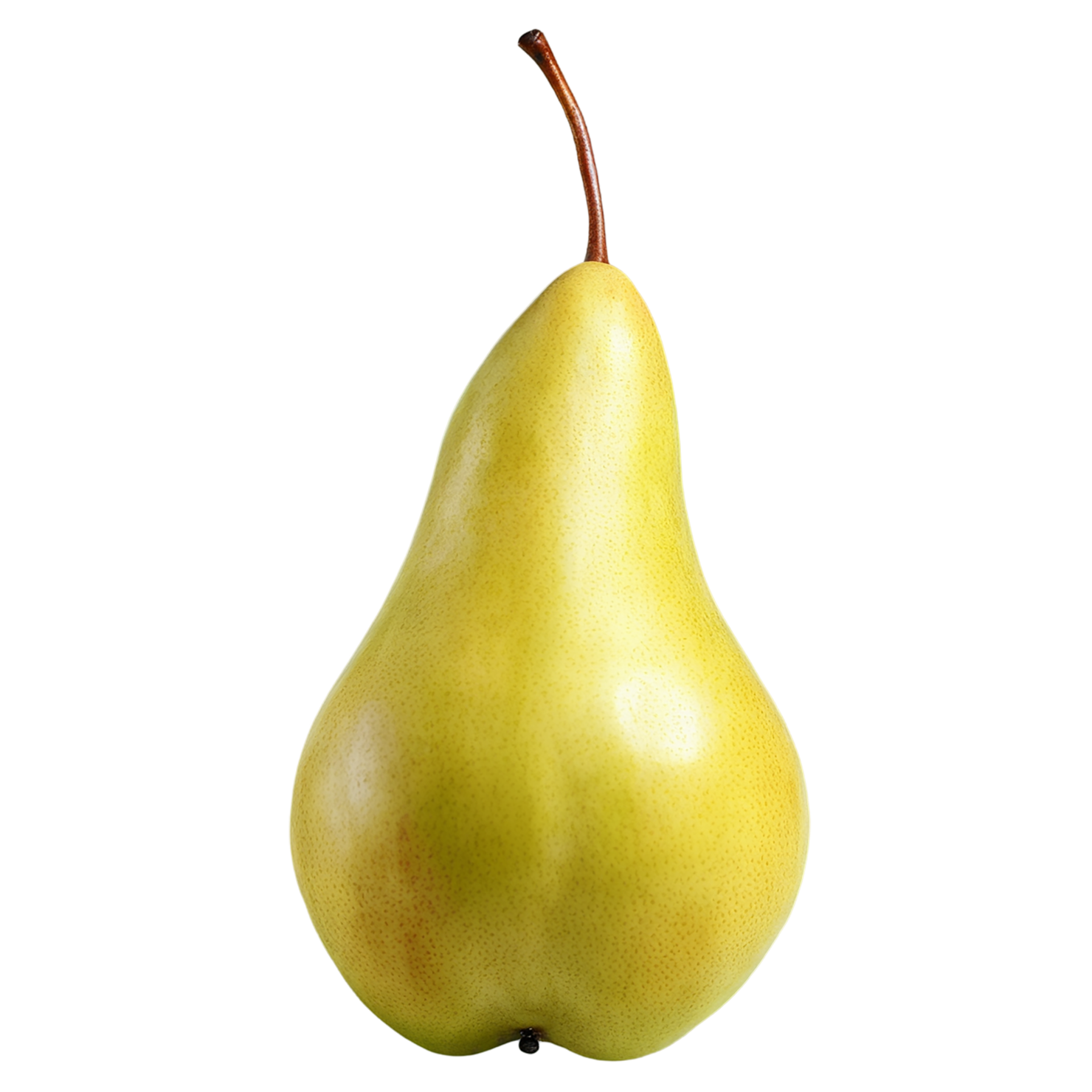 Pear fruit isolated on transparent background #123