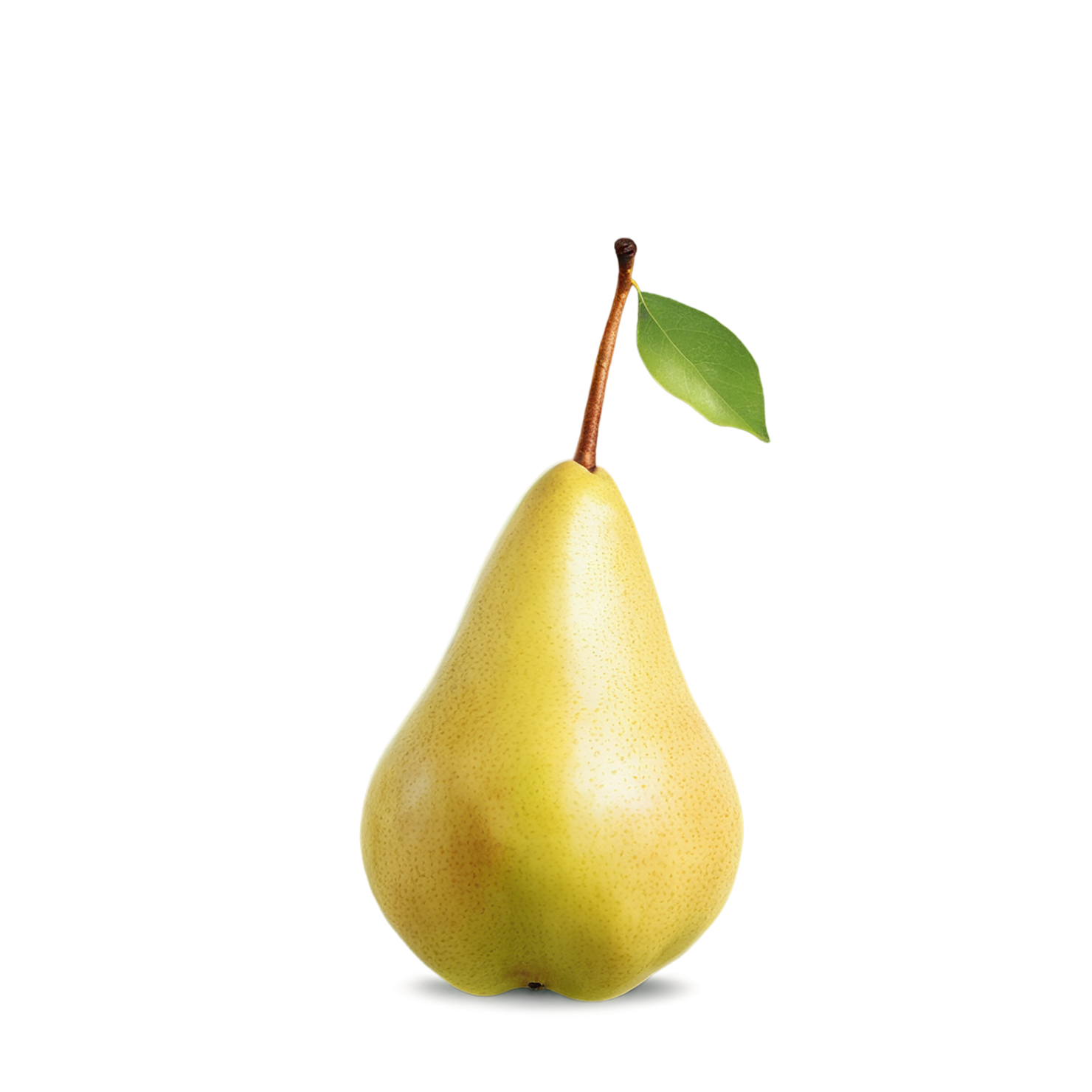Pear fruit isolated on transparent background #124