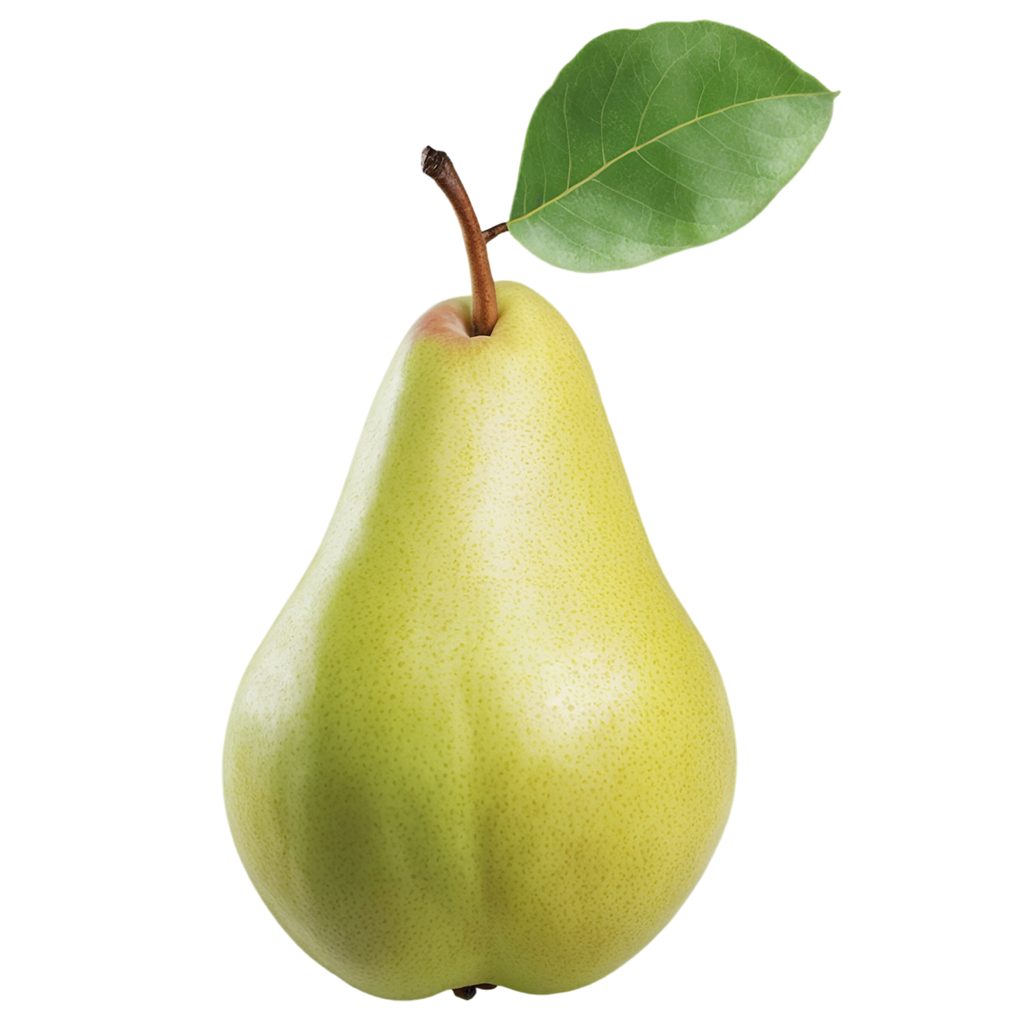 Pear fruit isolated on transparent background #125
