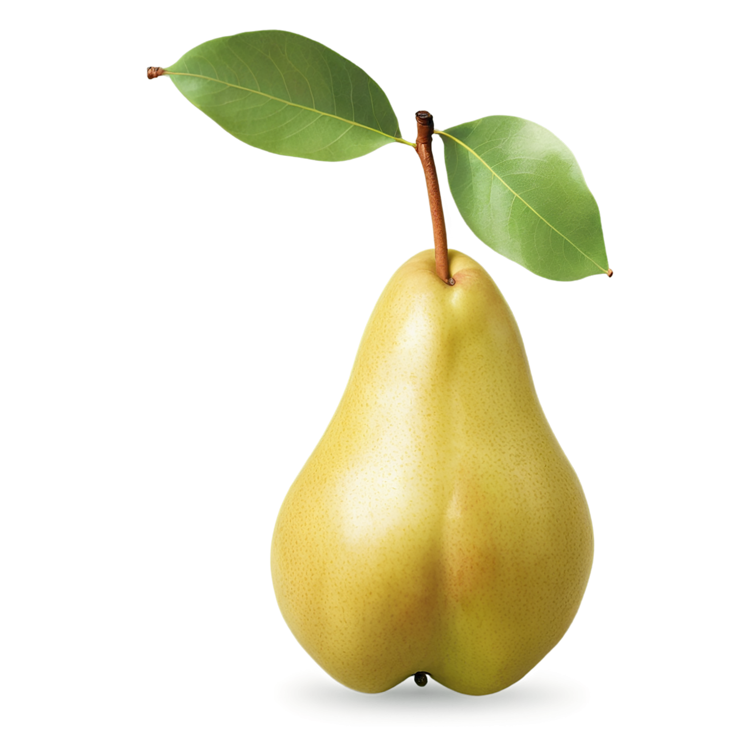 Pear fruit isolated on transparent background #128