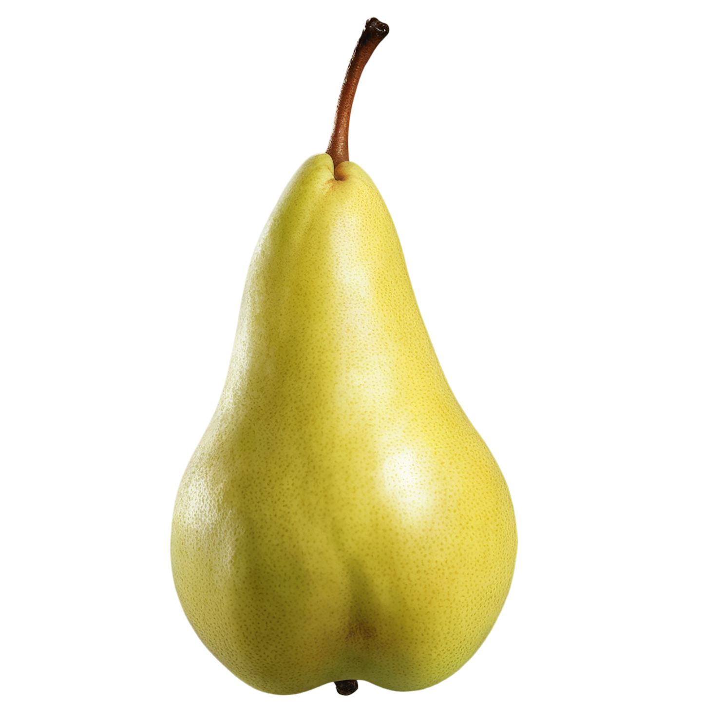 Pear fruit isolated on transparent background #135