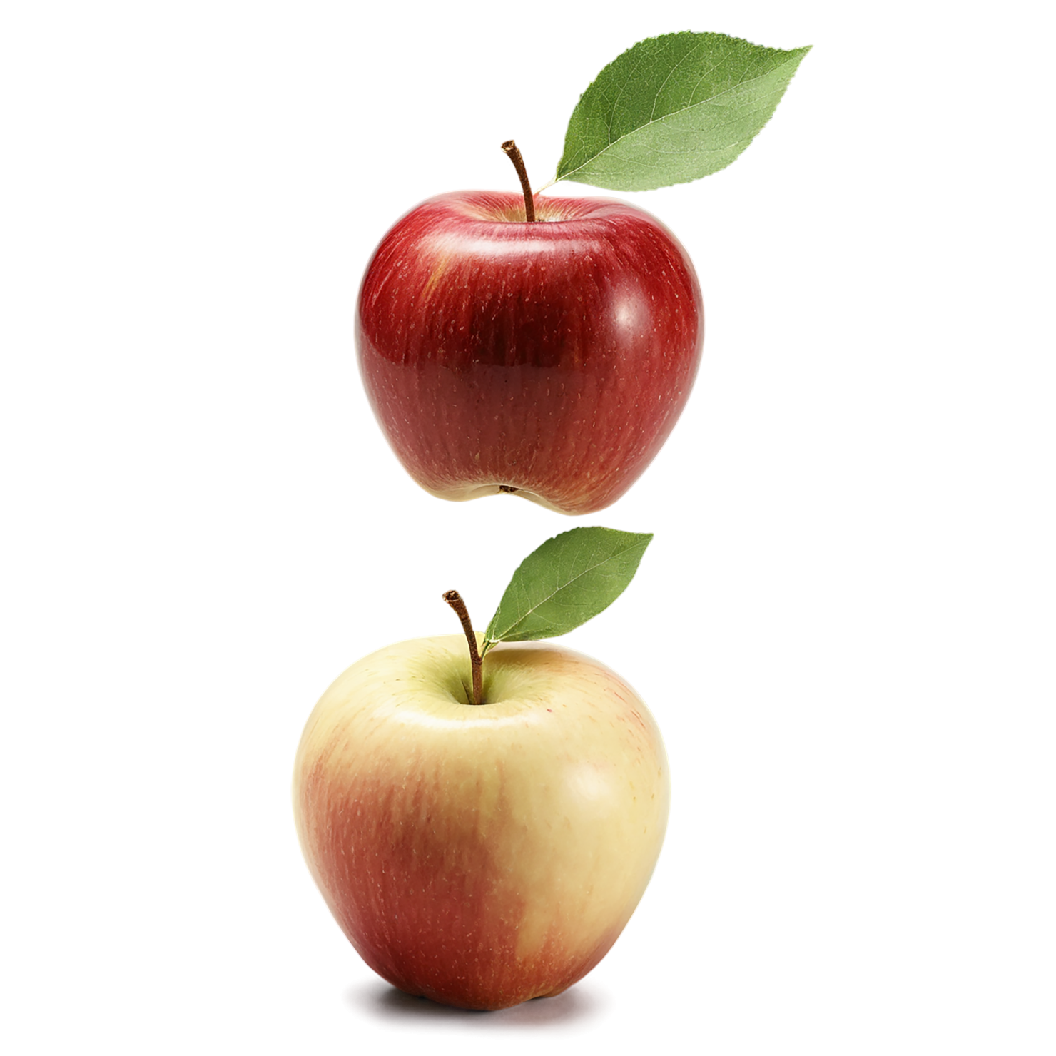 Red apple fruit isolated on transparent background #142