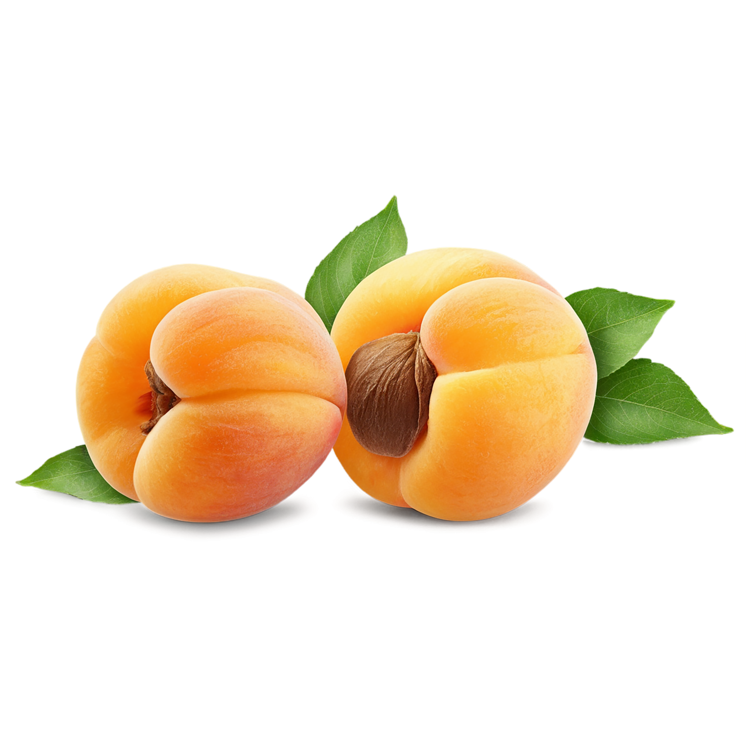 Apricot fruit with seed isolated on transparent background #265