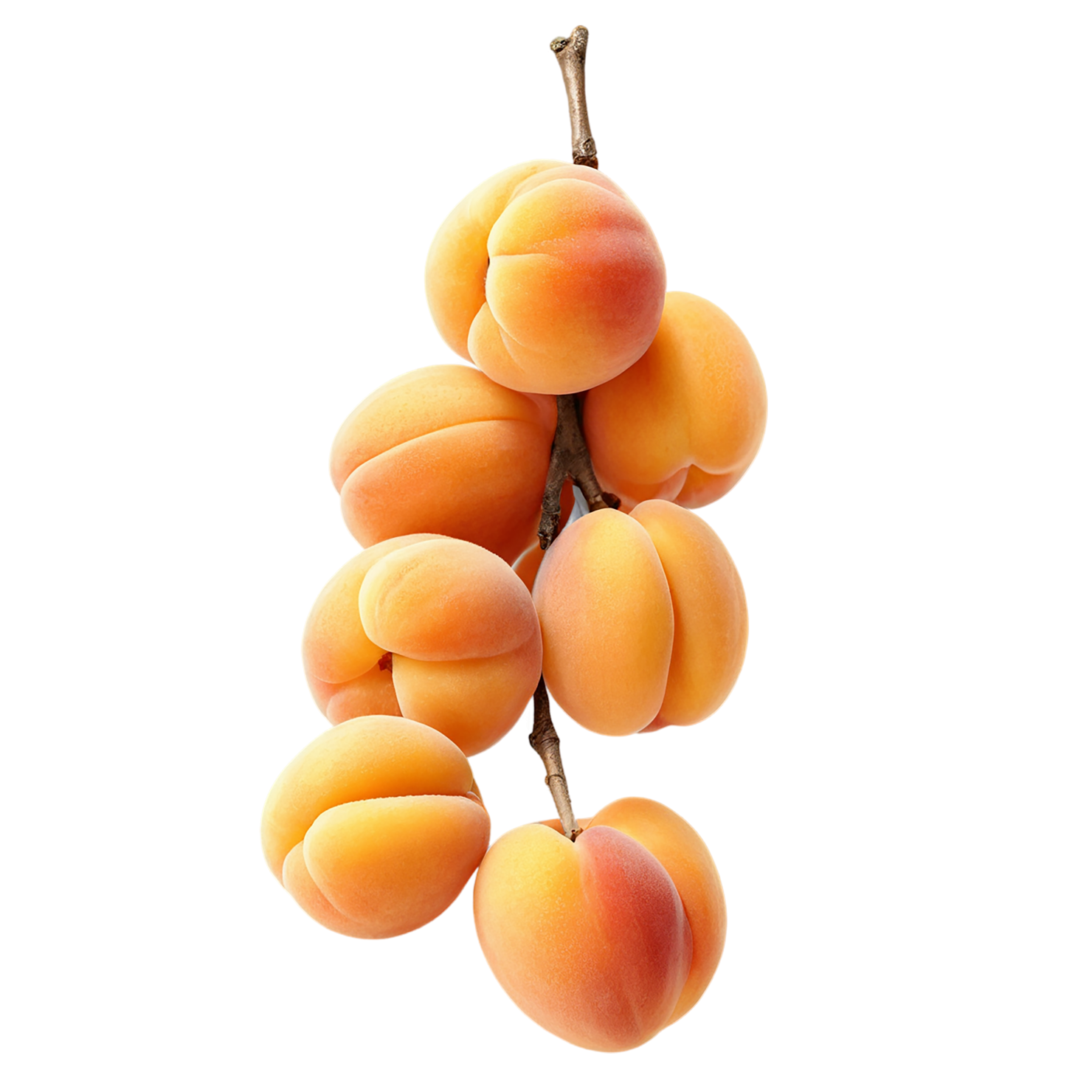 Apricot fruit isolated on transparent background #333