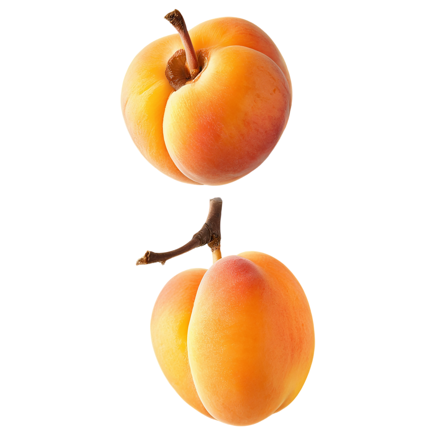Apricot fruit isolated on transparent background #337
