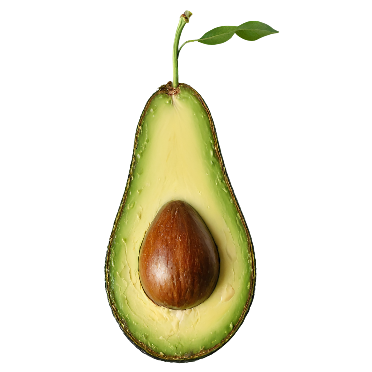 Avocado fruit isolated on transparent background #341