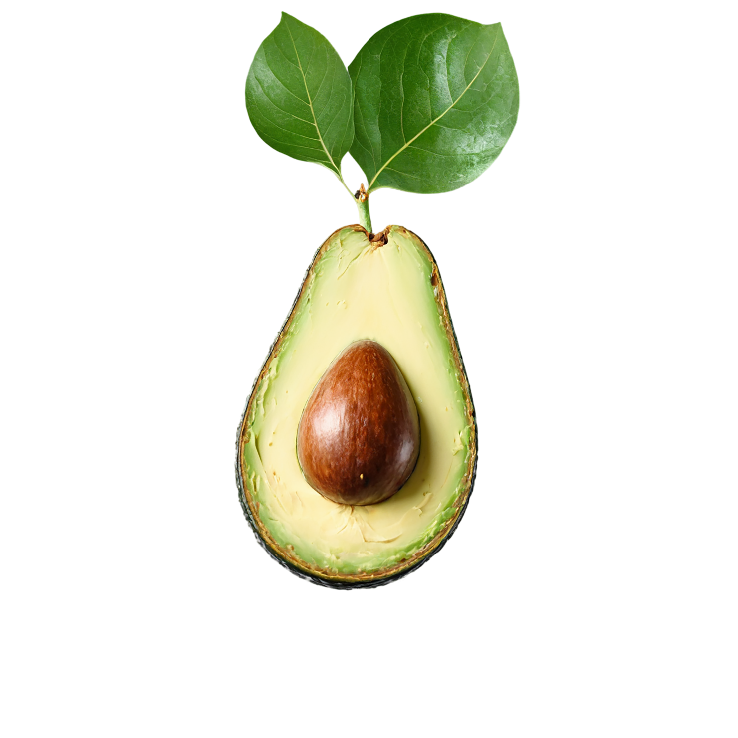Avocado fruit isolated on transparent background #342