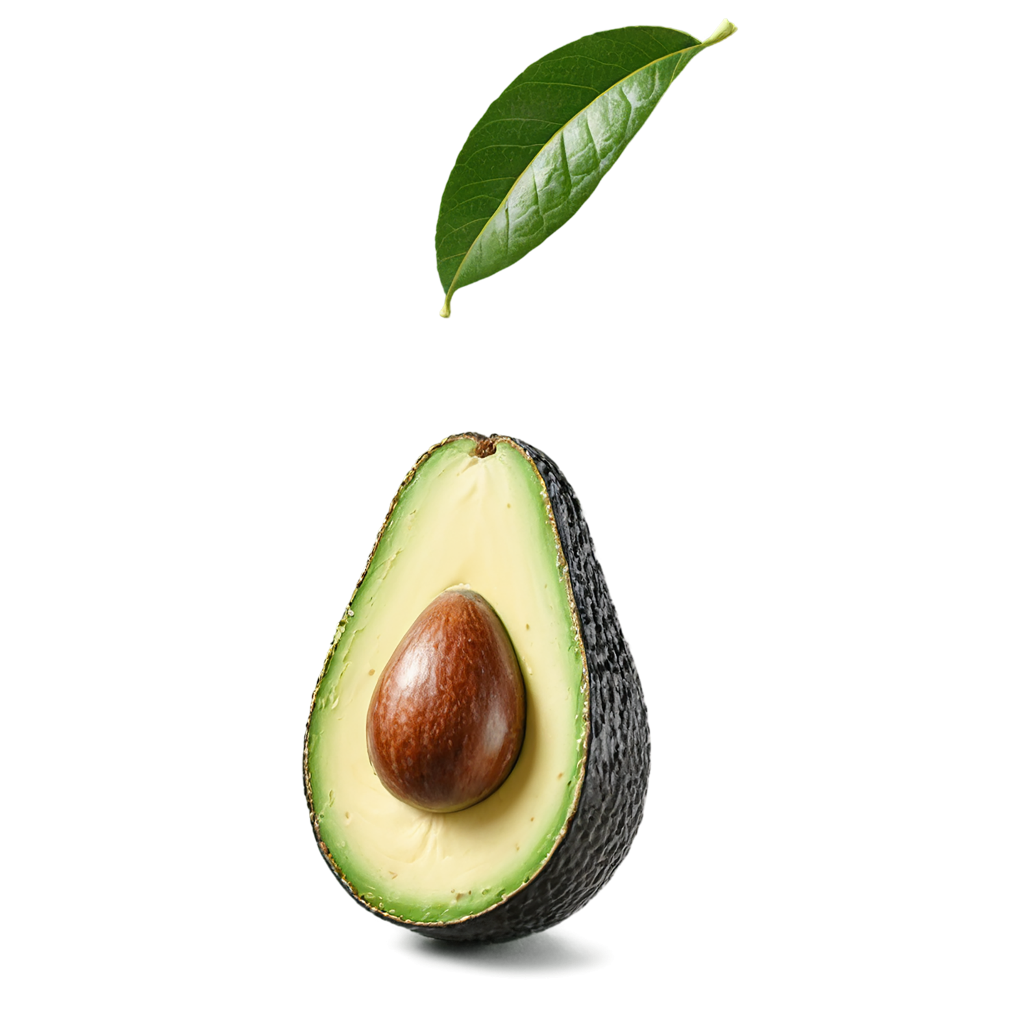 Avocado fruit isolated on transparent background #343
