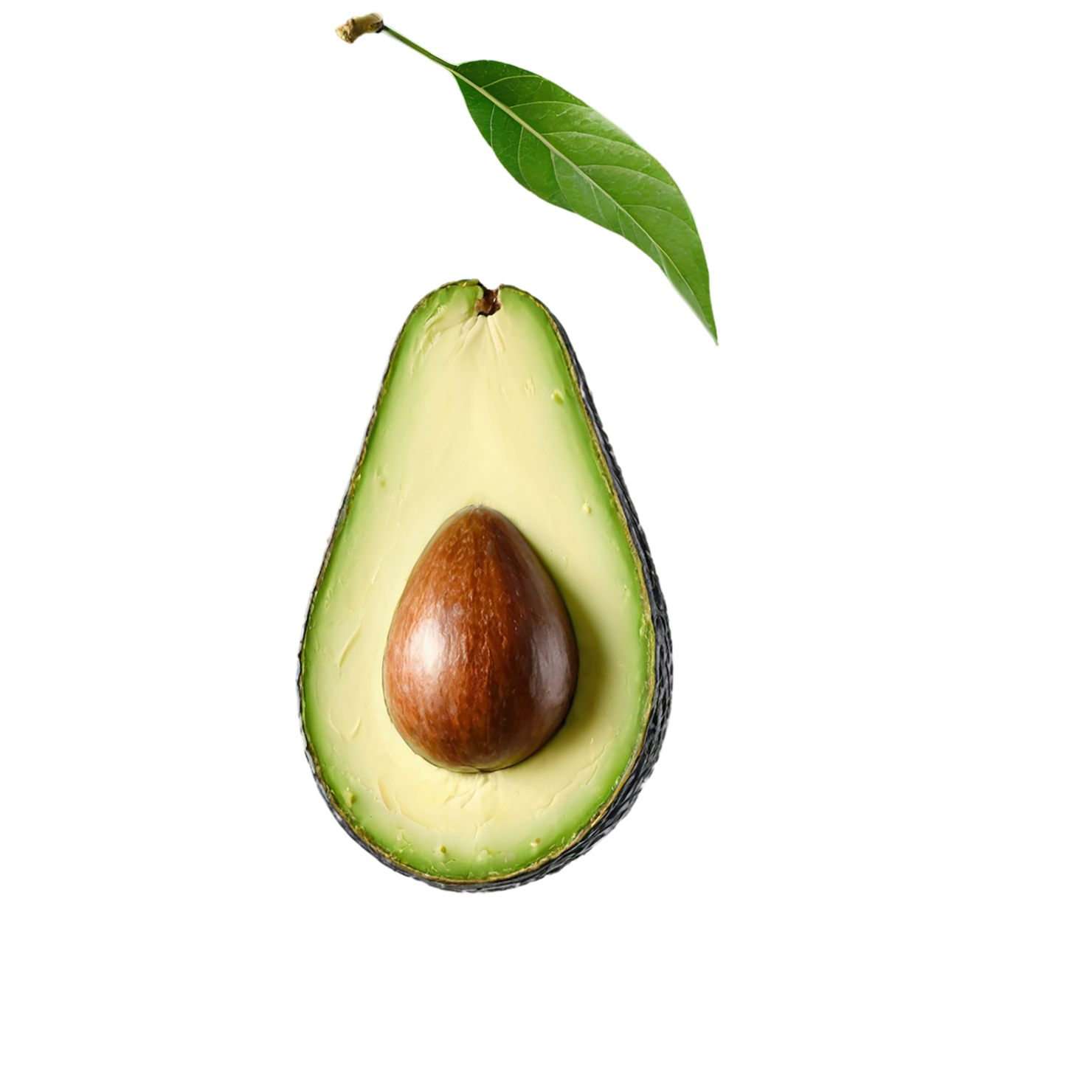 Avocado fruit isolated on transparent background #351
