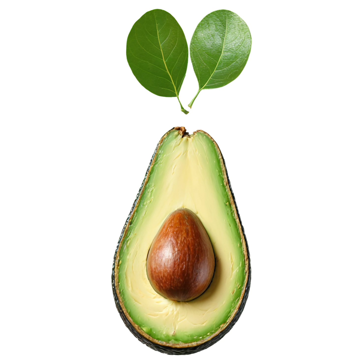 Avocado fruit isolated on transparent background #361