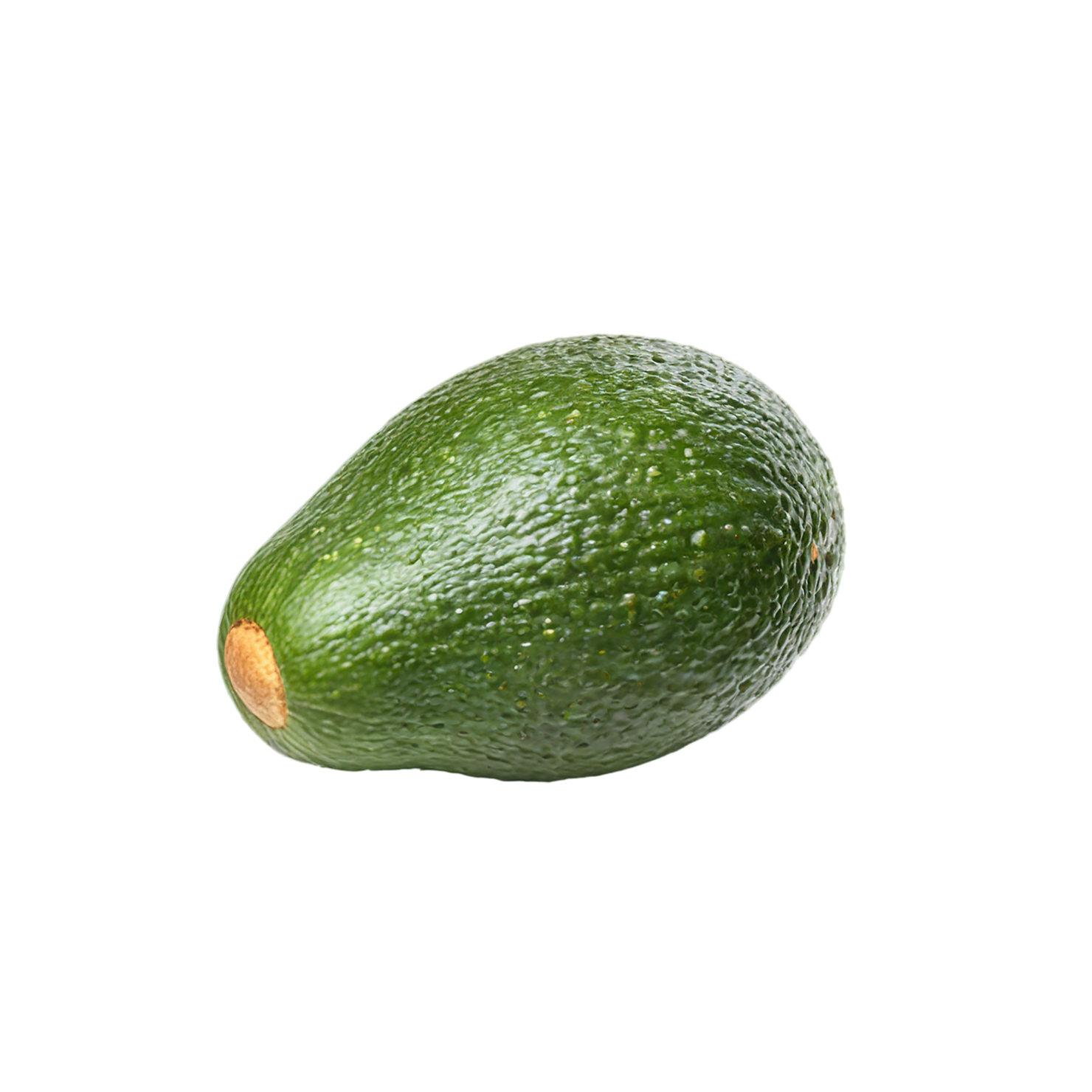 Avocado fruit isolated on transparent background #386
