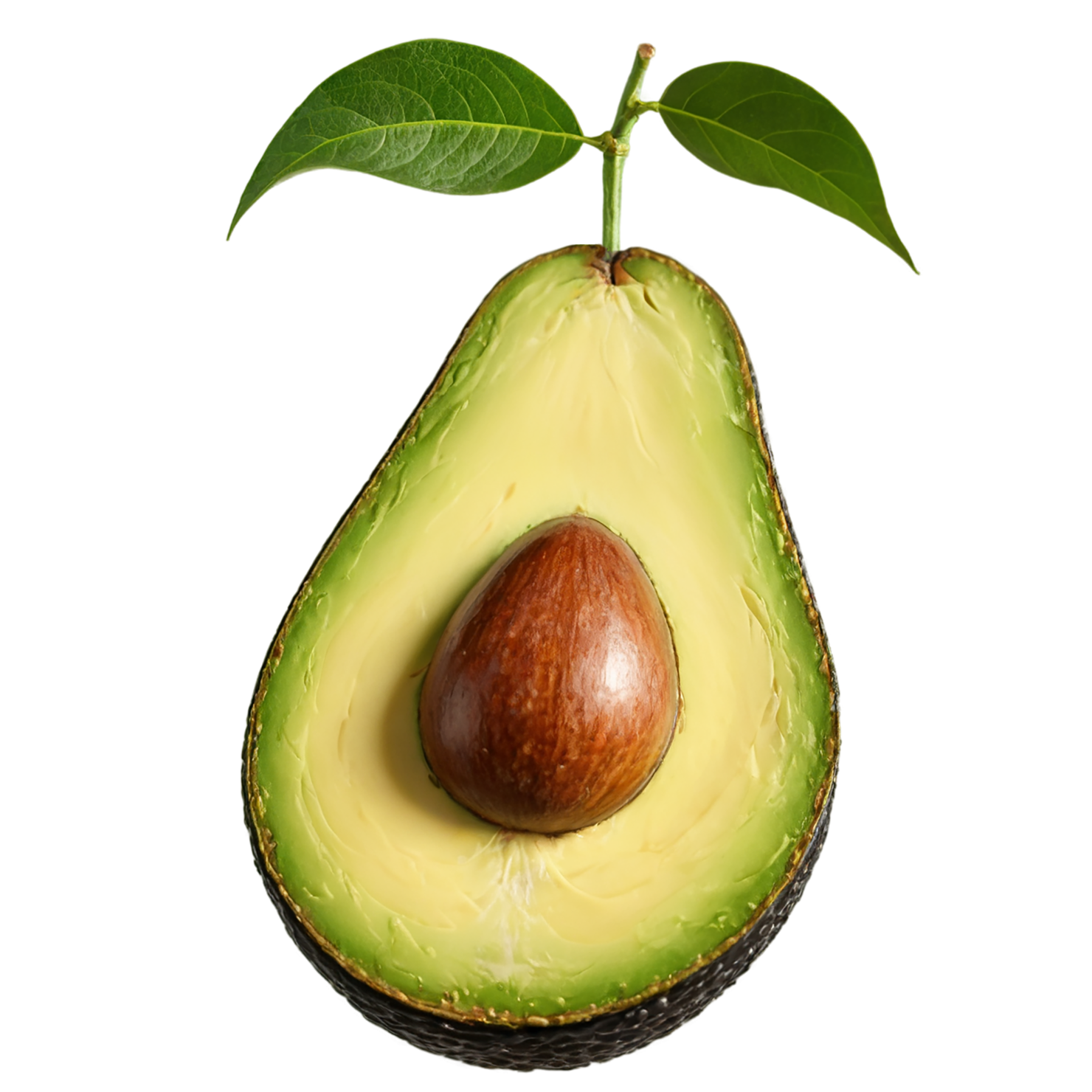 Avocado fruit isolated on transparent background #394