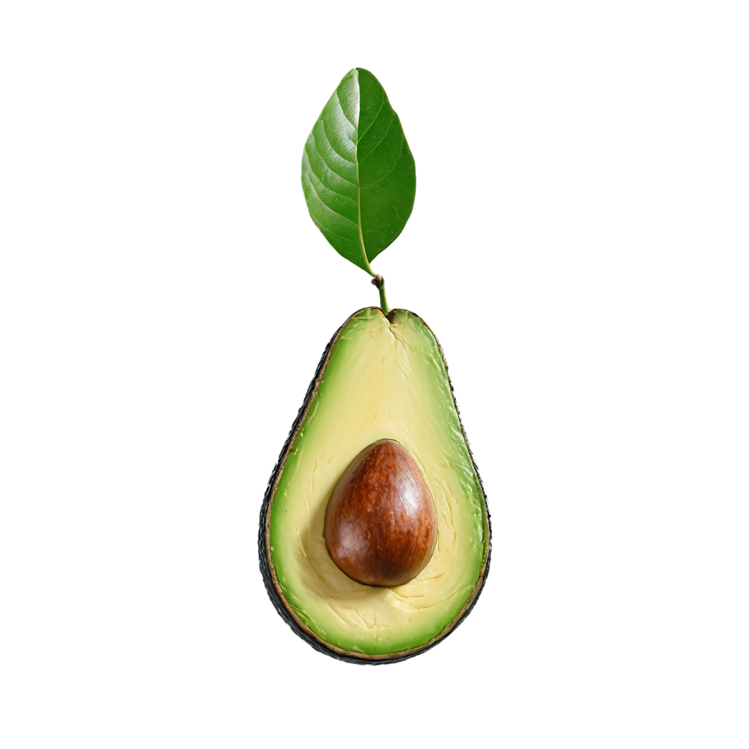 Avocado fruit isolated on transparent background #403