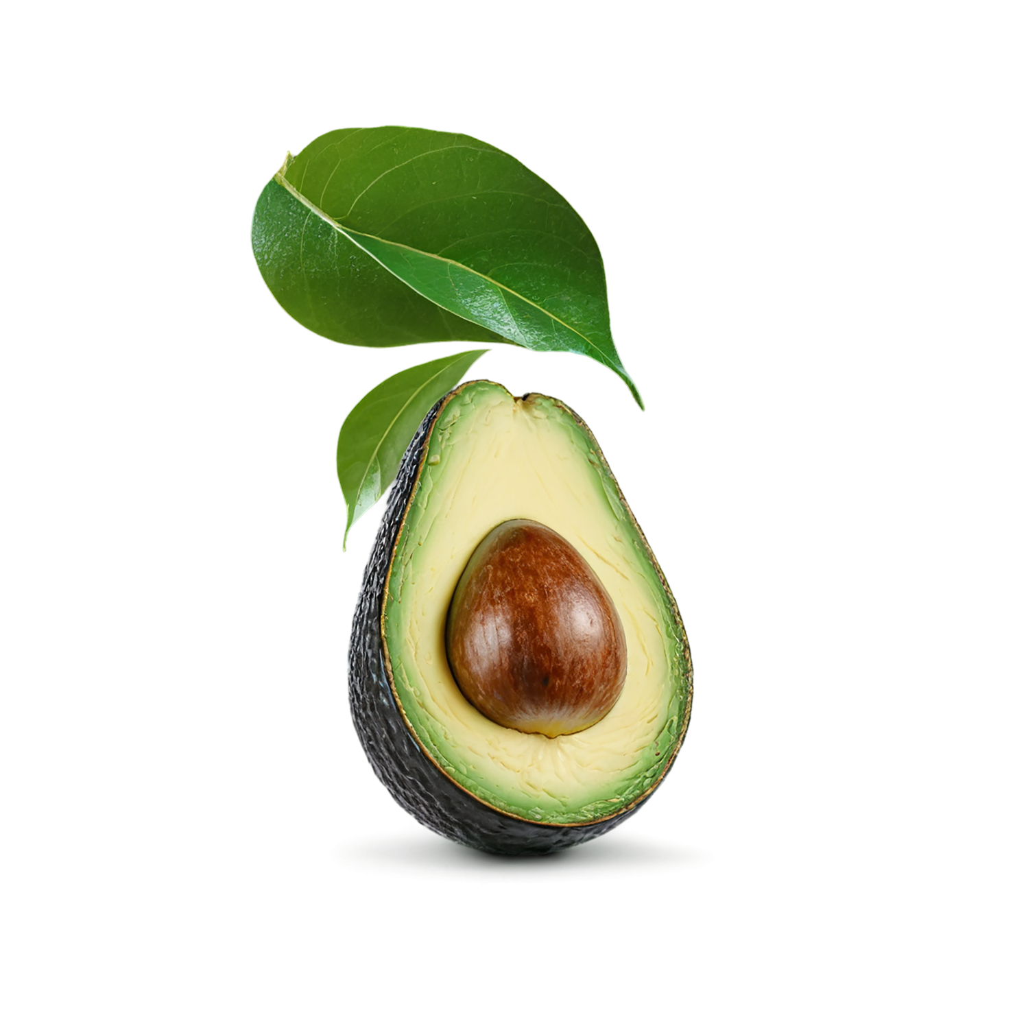 Avocado fruit isolated on transparent background #416