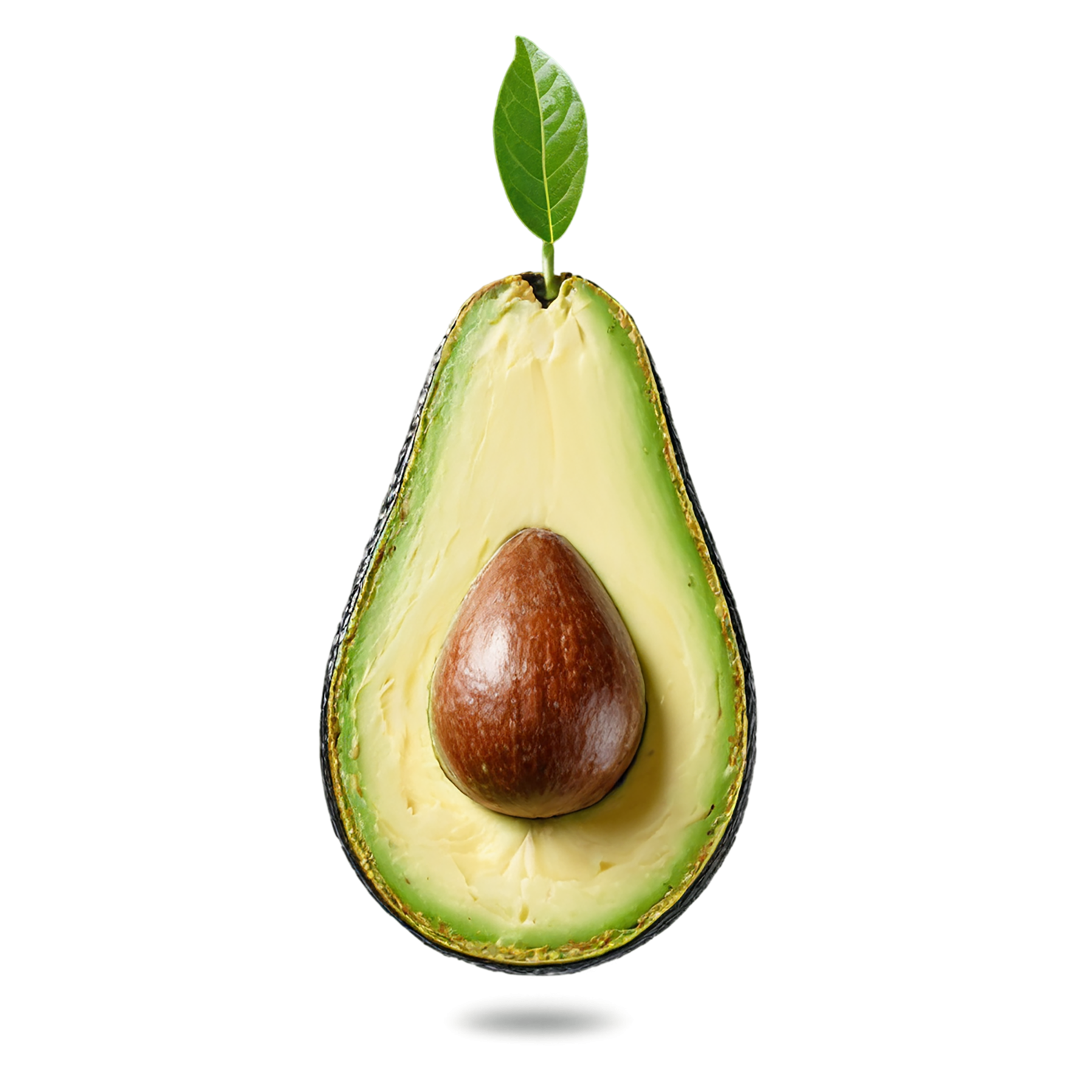 Avocado fruit isolated on transparent background #418