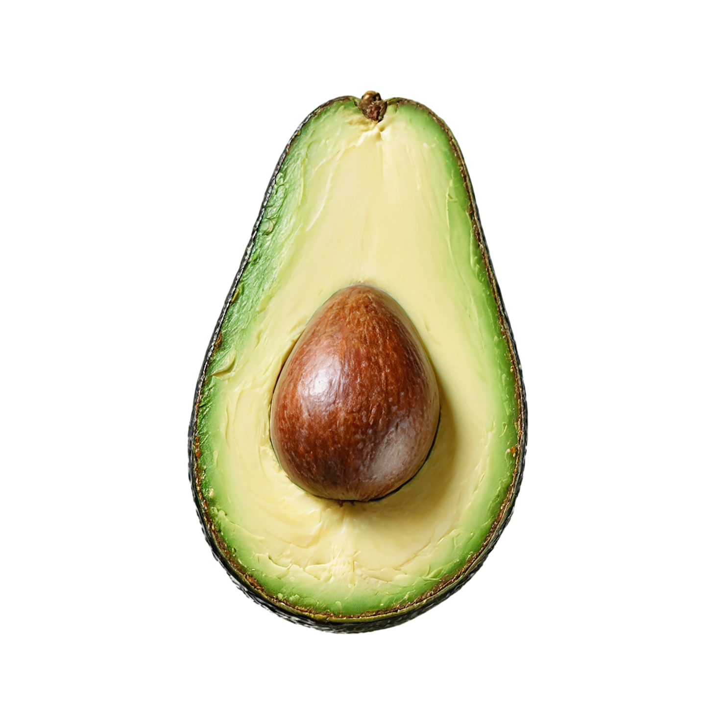 Avocado fruit isolated on transparent background #440