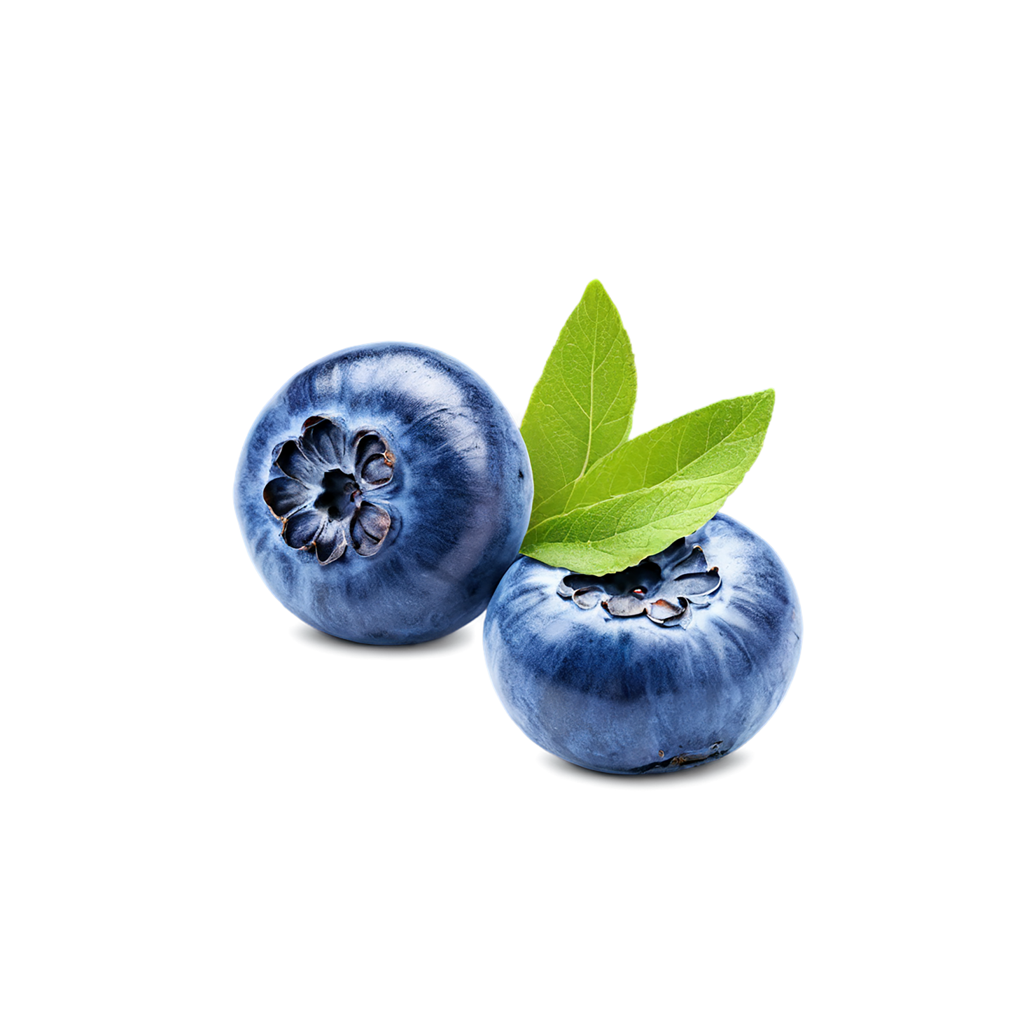 Blueberry fruit isolated on transparent background #502